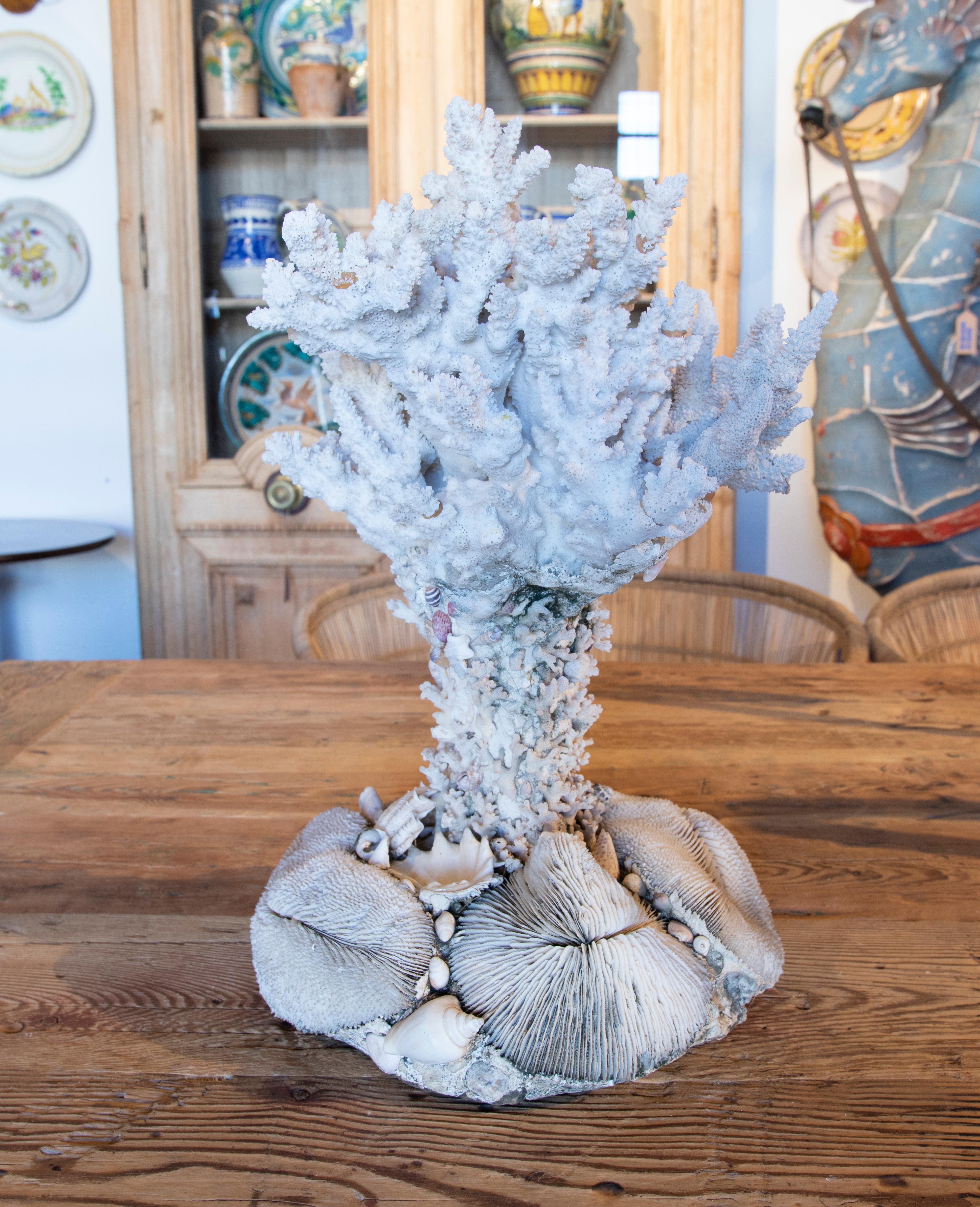 1950s sculpture made of corals and shells.