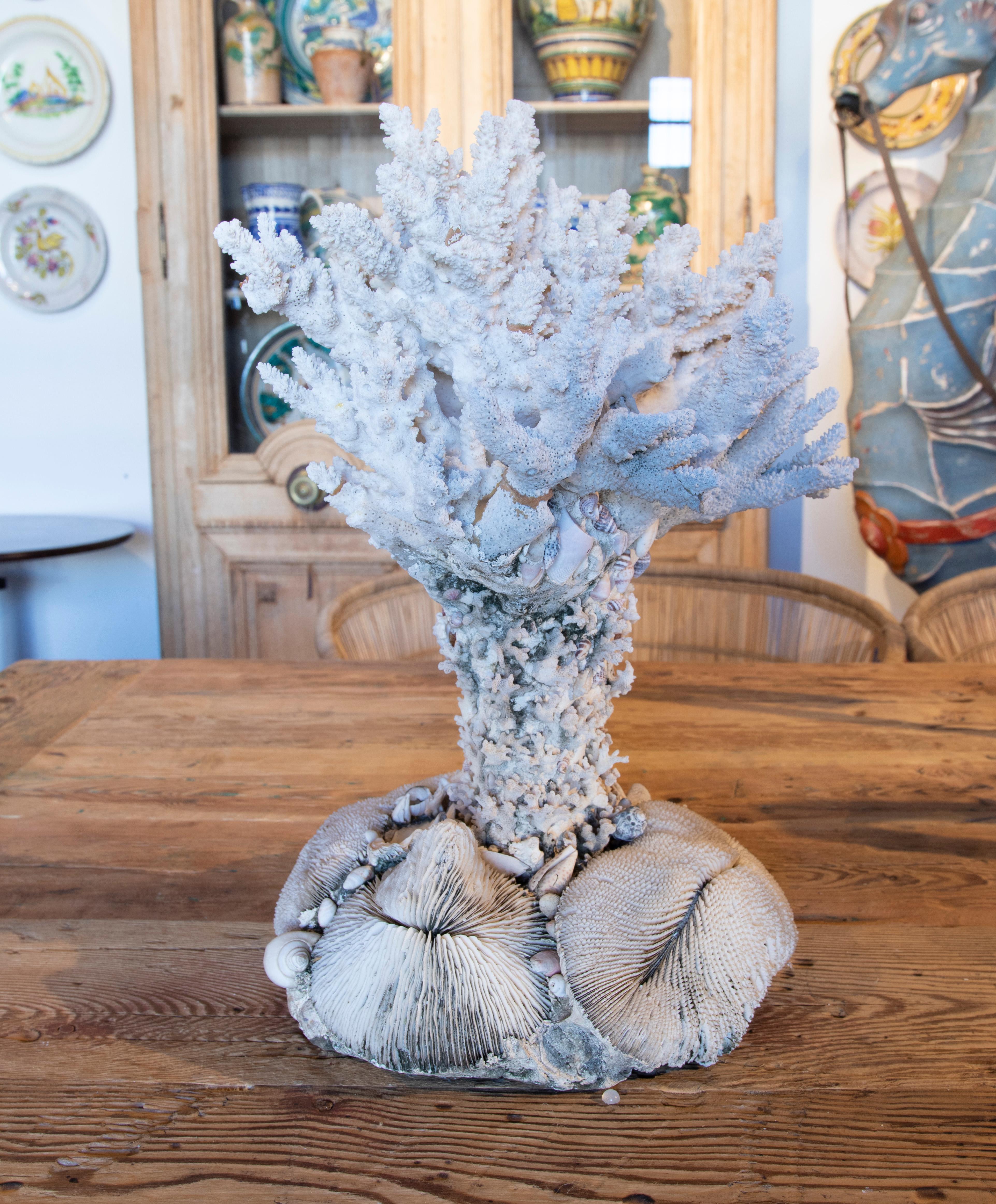 Spanish 1950s Sculpture Made of Corals and Shells For Sale