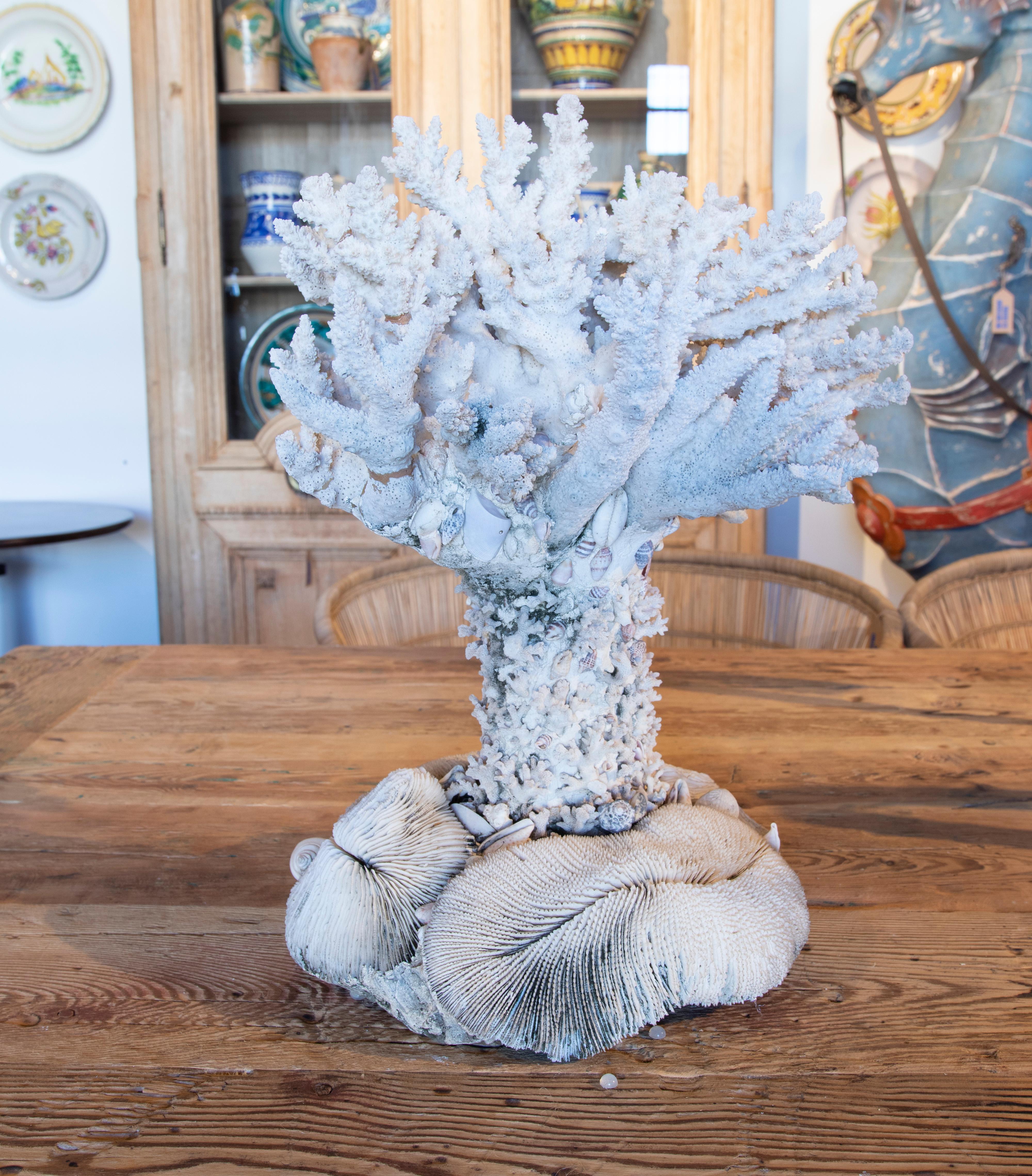 1950s Sculpture Made of Corals and Shells In Good Condition For Sale In Marbella, ES