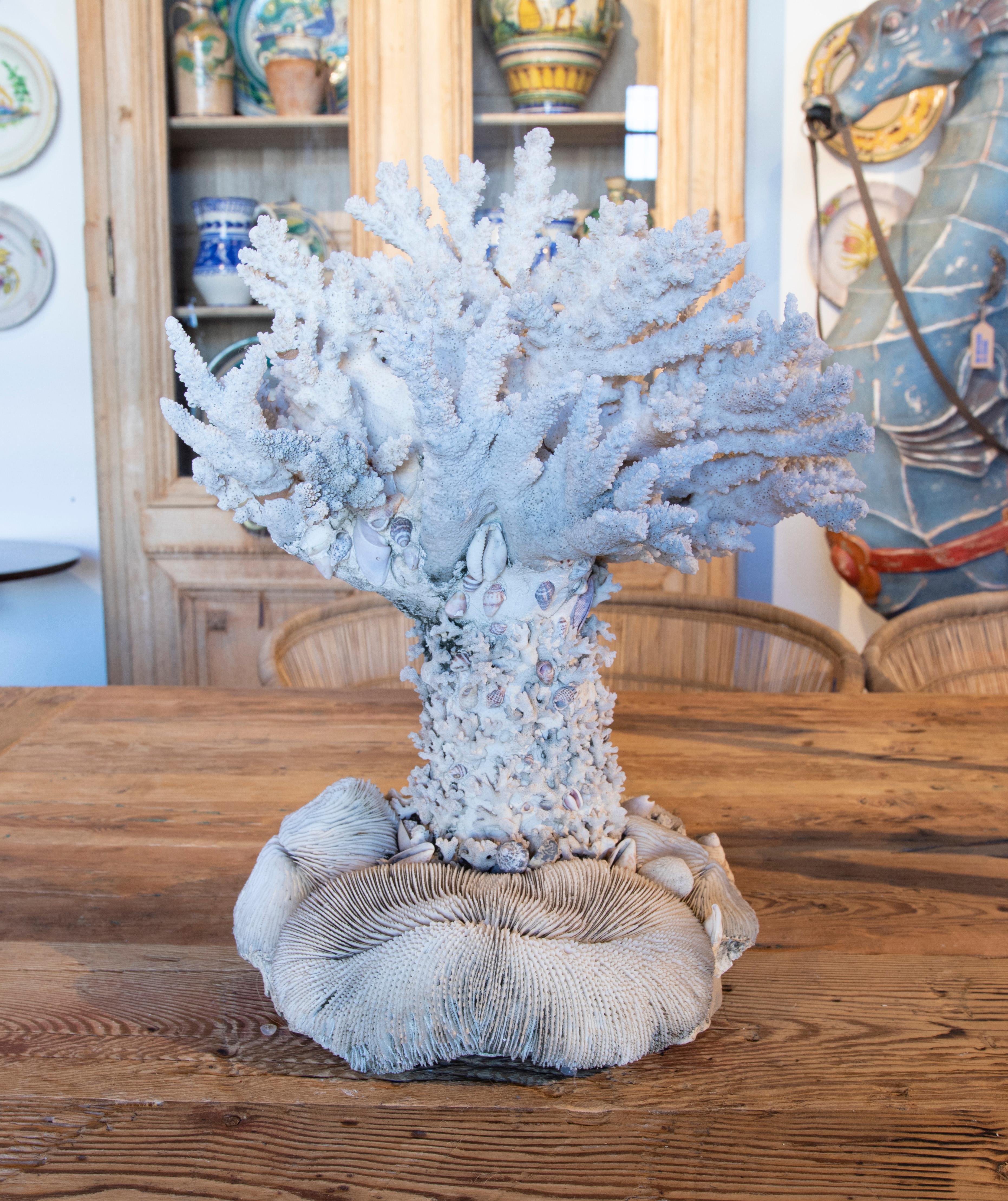 20th Century 1950s Sculpture Made of Corals and Shells For Sale