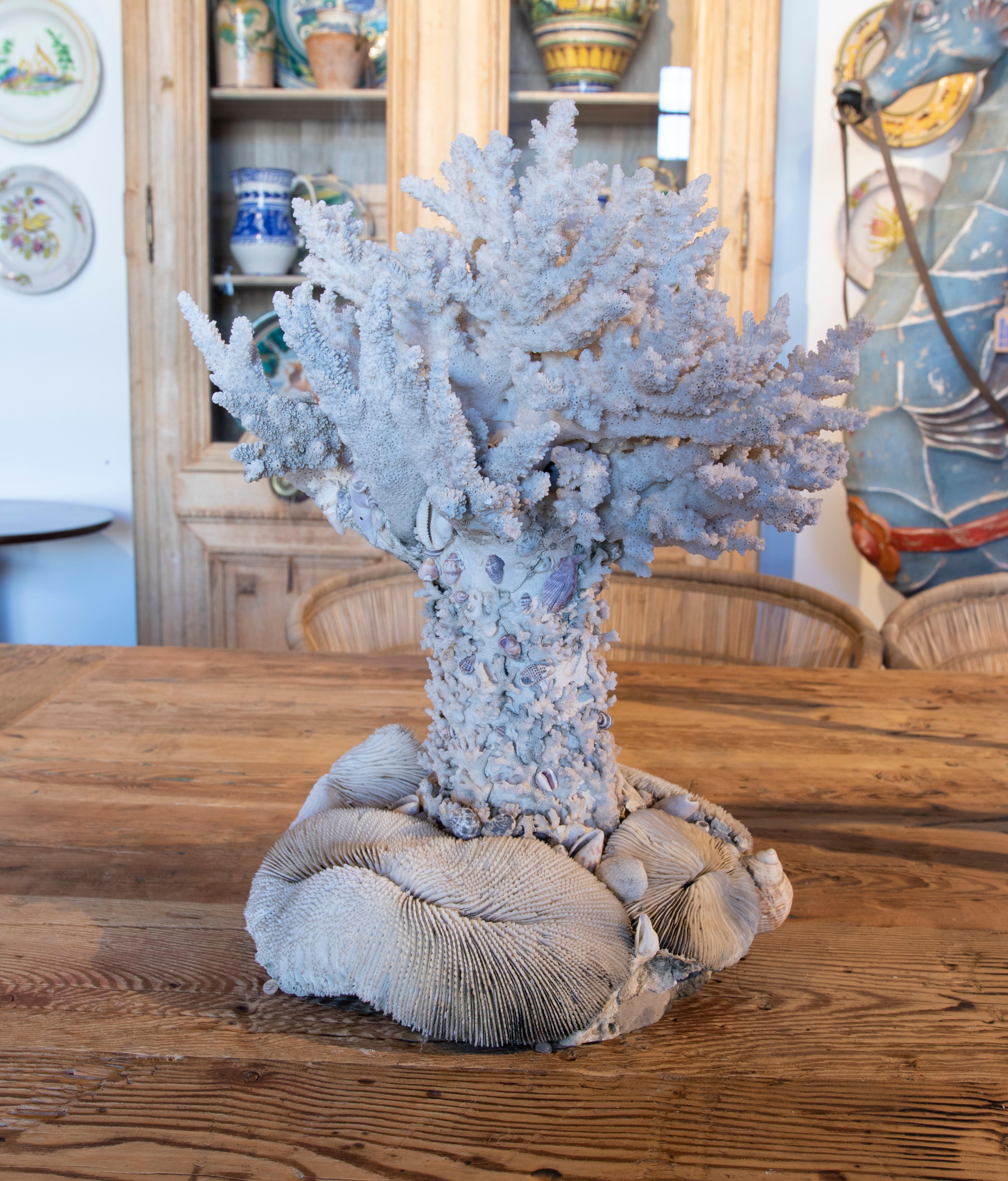 1950s Sculpture Made of Corals and Shells For Sale 1