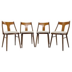 Vintage 1950s Set of 4 Dining Chairs in Walnut Finish, Czechoslovakia 