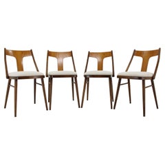 Retro 1950s Set of 4 Dining Chairs in Walnut Finish, Czechoslovakia 