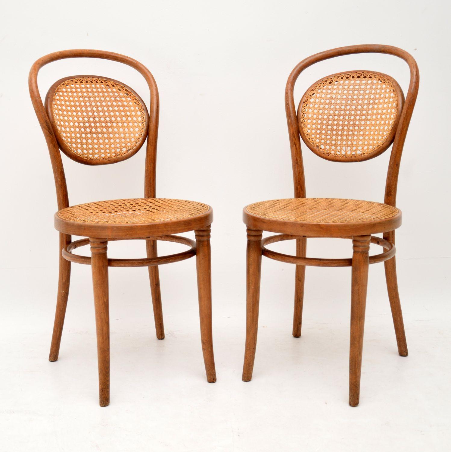 vintage thonet dining chairs