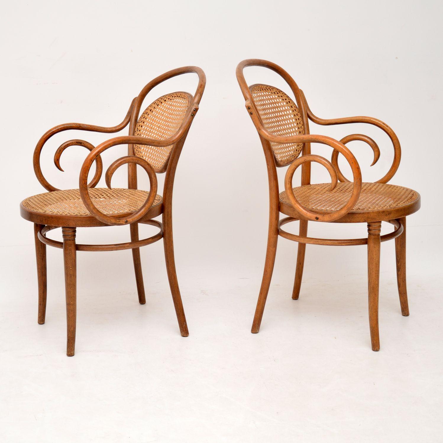 vintage bentwood dining chairs