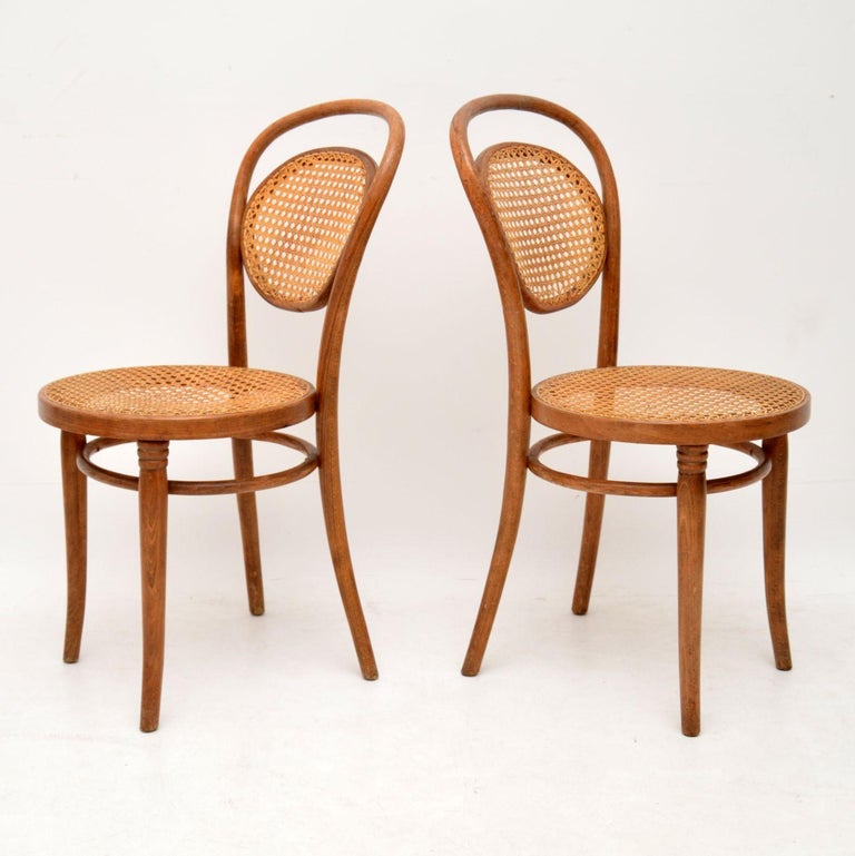 1950s Set of 4 Vintage Bentwood Dining Chairs at 1stDibs