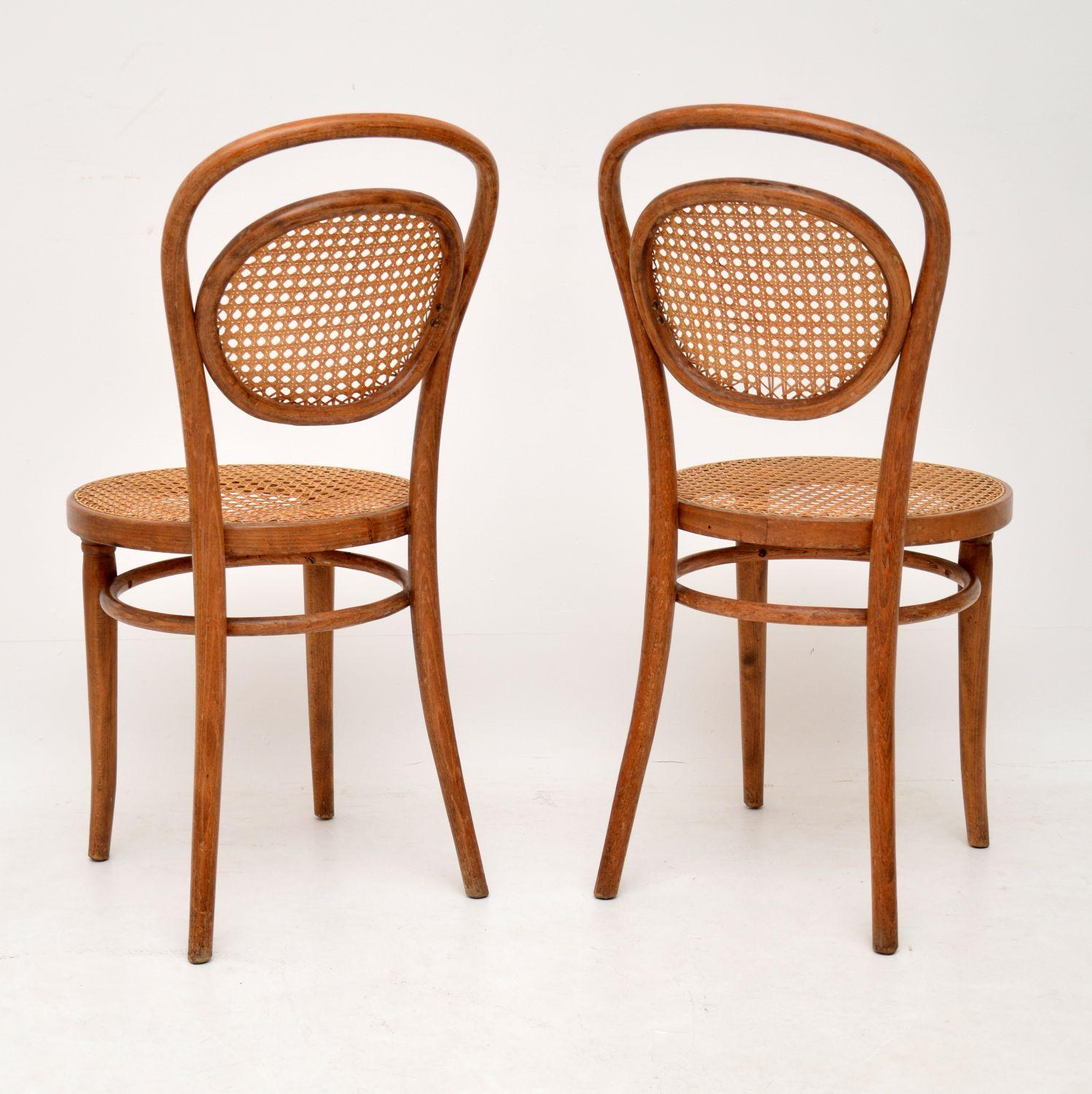 Mid-Century Modern 1950s Set of 4 Vintage Bentwood Thonet Dining Chairs