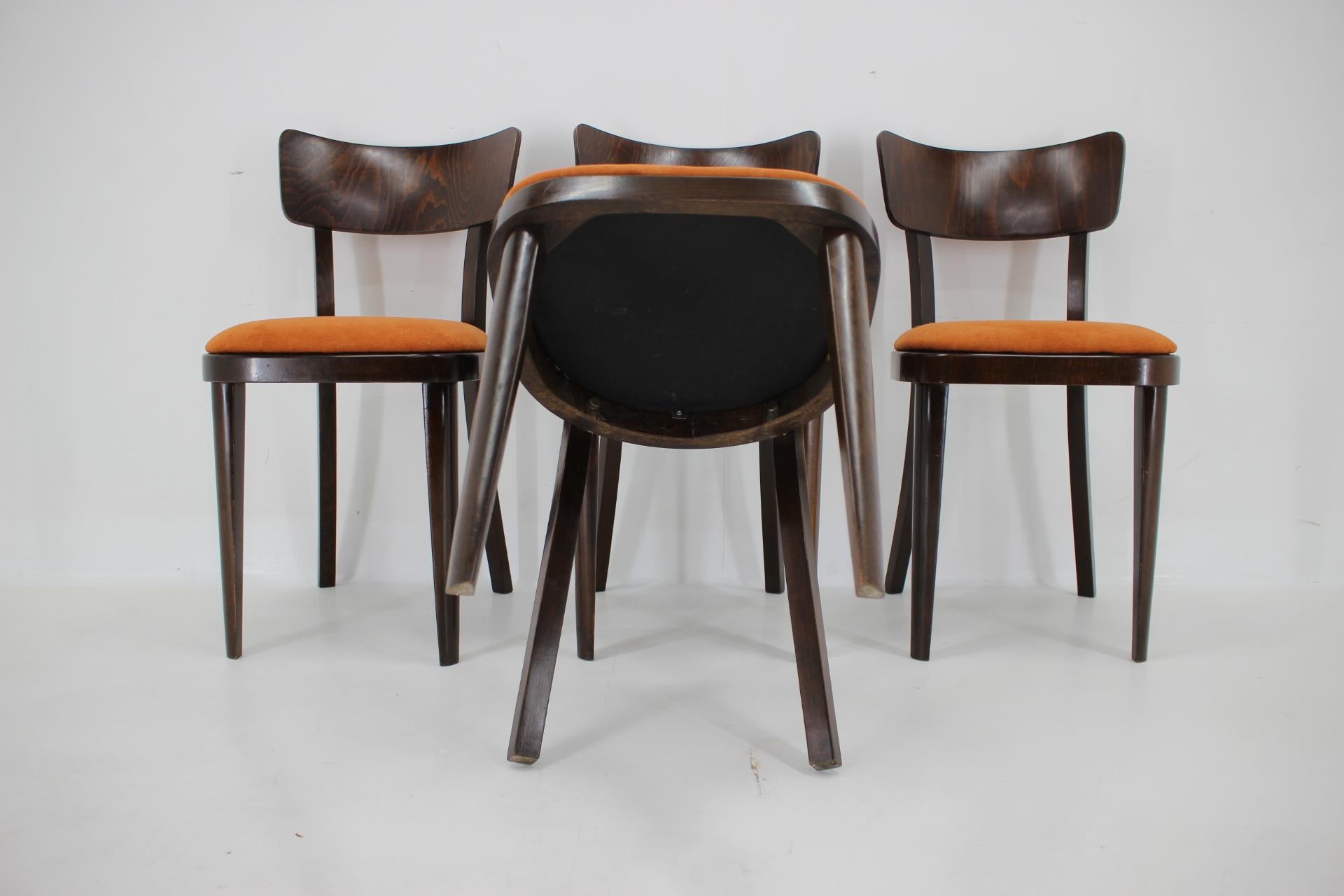 1950s Set of Four Restored Dining Chairs, Czechoslovakia For Sale 11