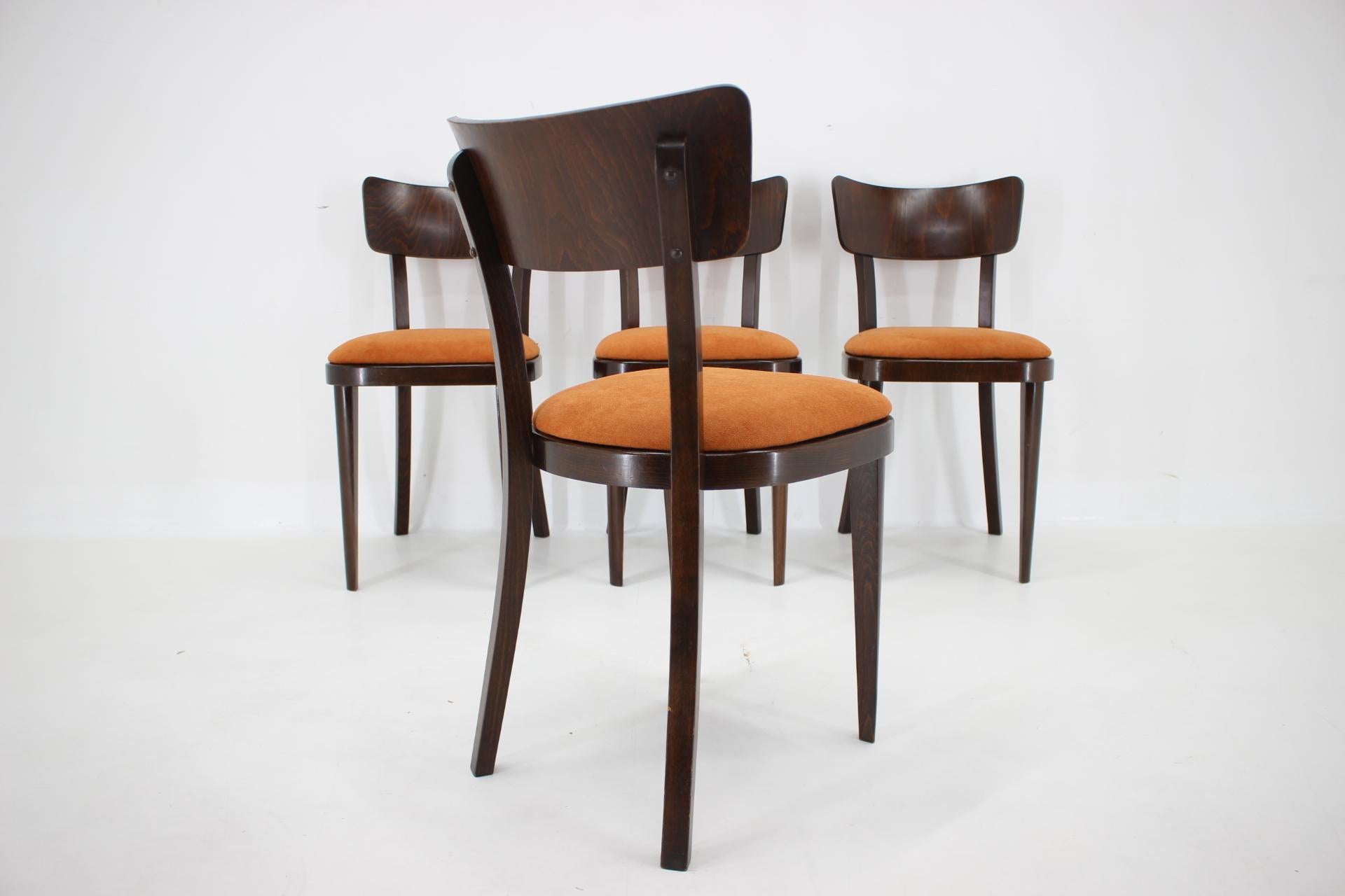 1950s Set of Four Restored Dining Chairs, Czechoslovakia For Sale 2