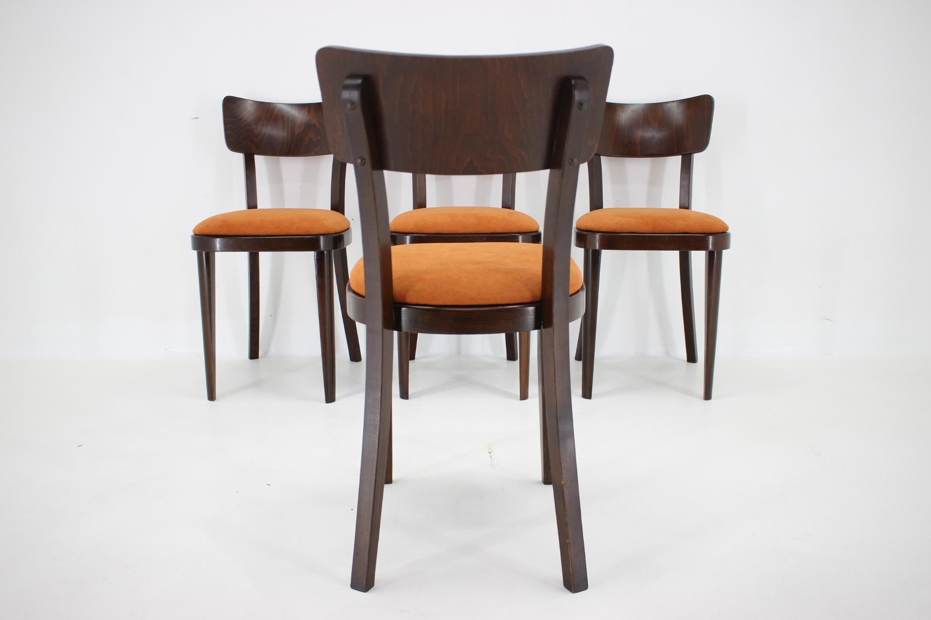 1950s Set of Four Restored Dining Chairs, Czechoslovakia For Sale 3