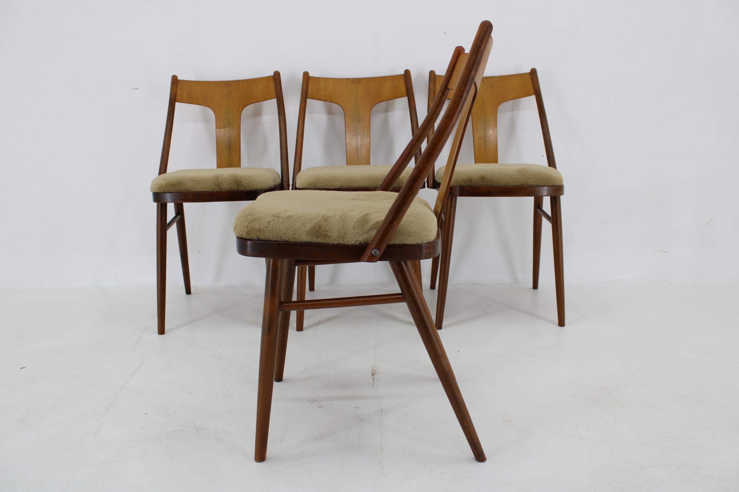 1950s Set of Four Restored Dining Chairs in Walnut, Czechoslovakia For Sale 3
