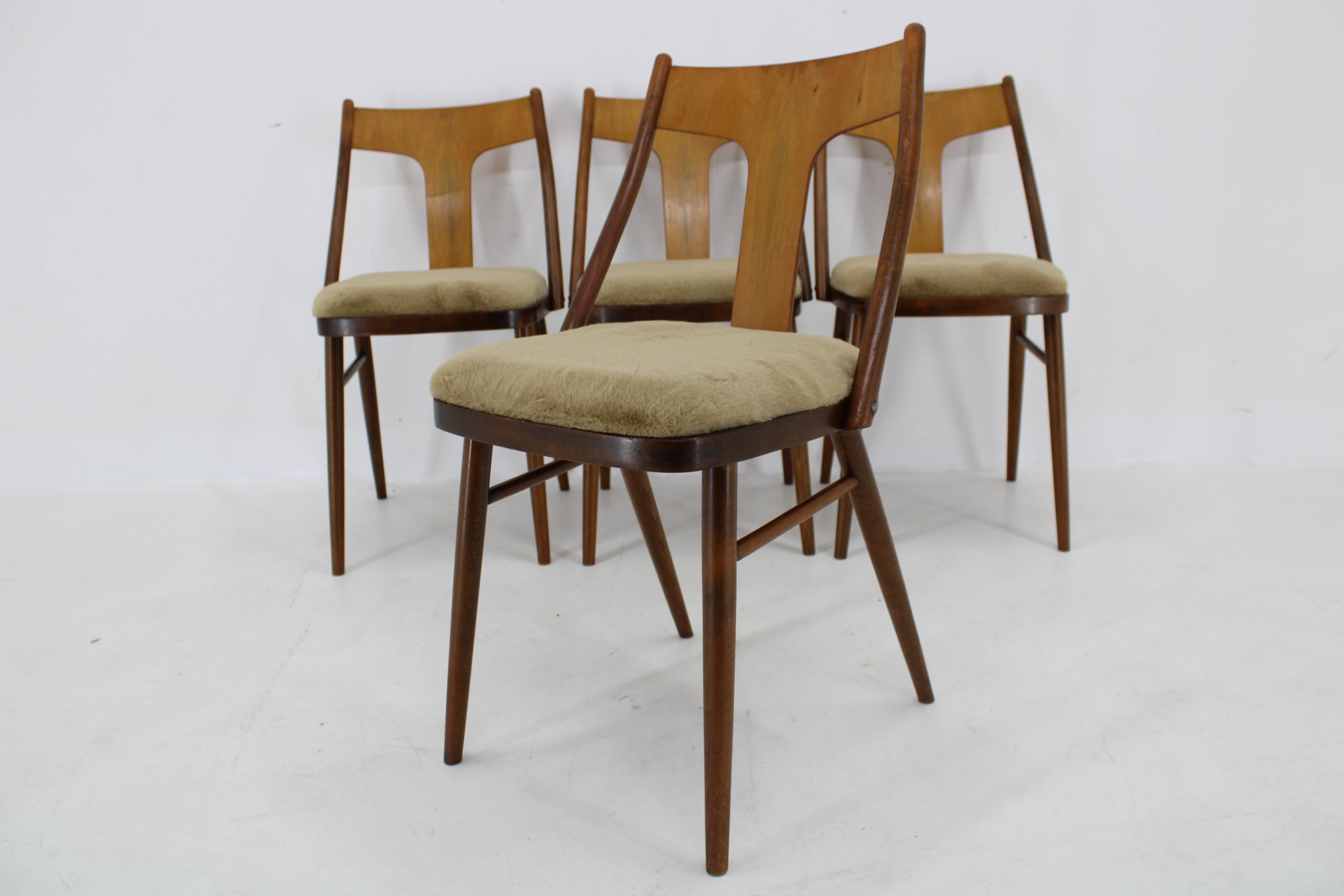 1950s Set of Four Restored Dining Chairs in Walnut, Czechoslovakia For Sale 4