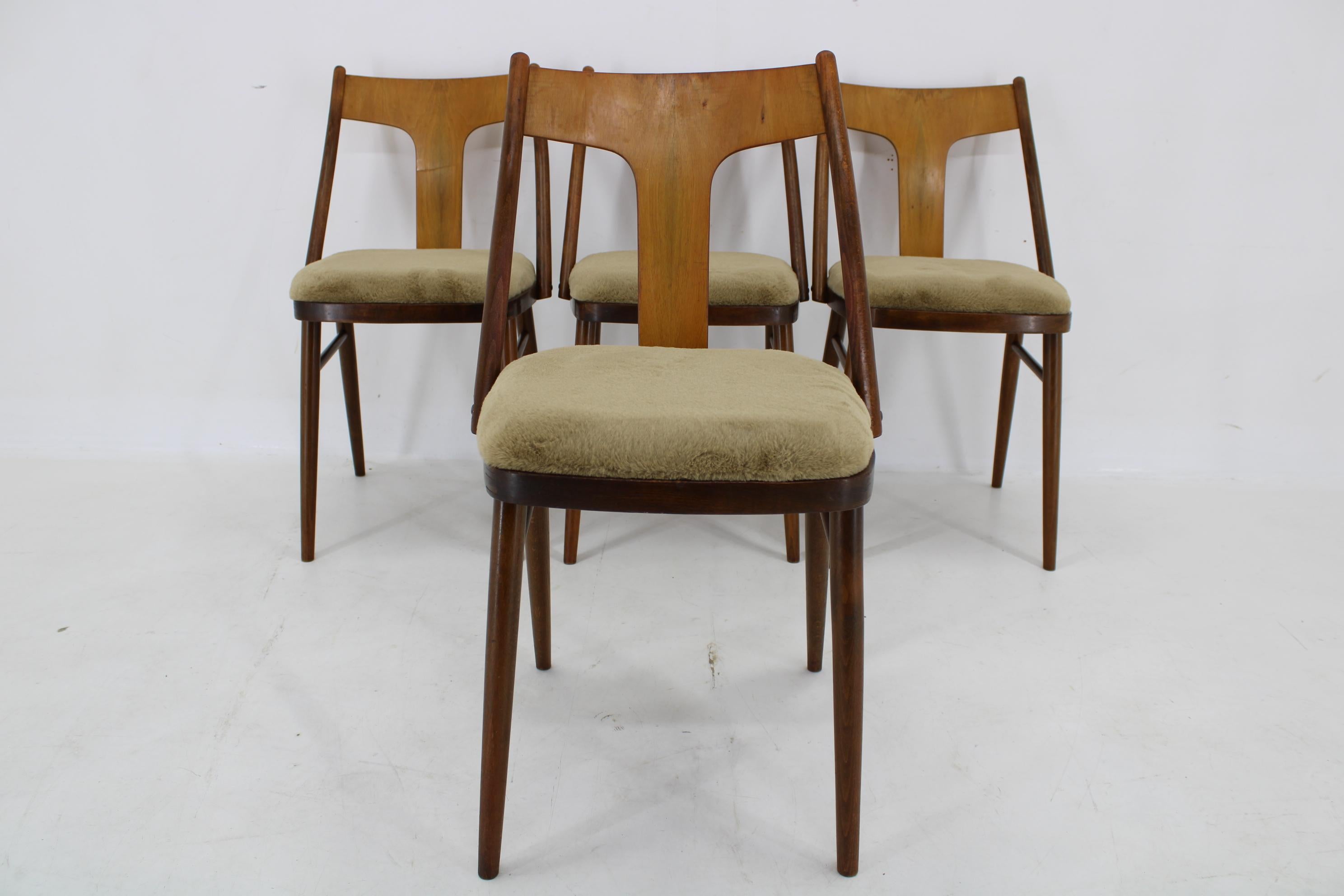 1950s Set of Four Restored Dining Chairs in Walnut, Czechoslovakia For Sale 5