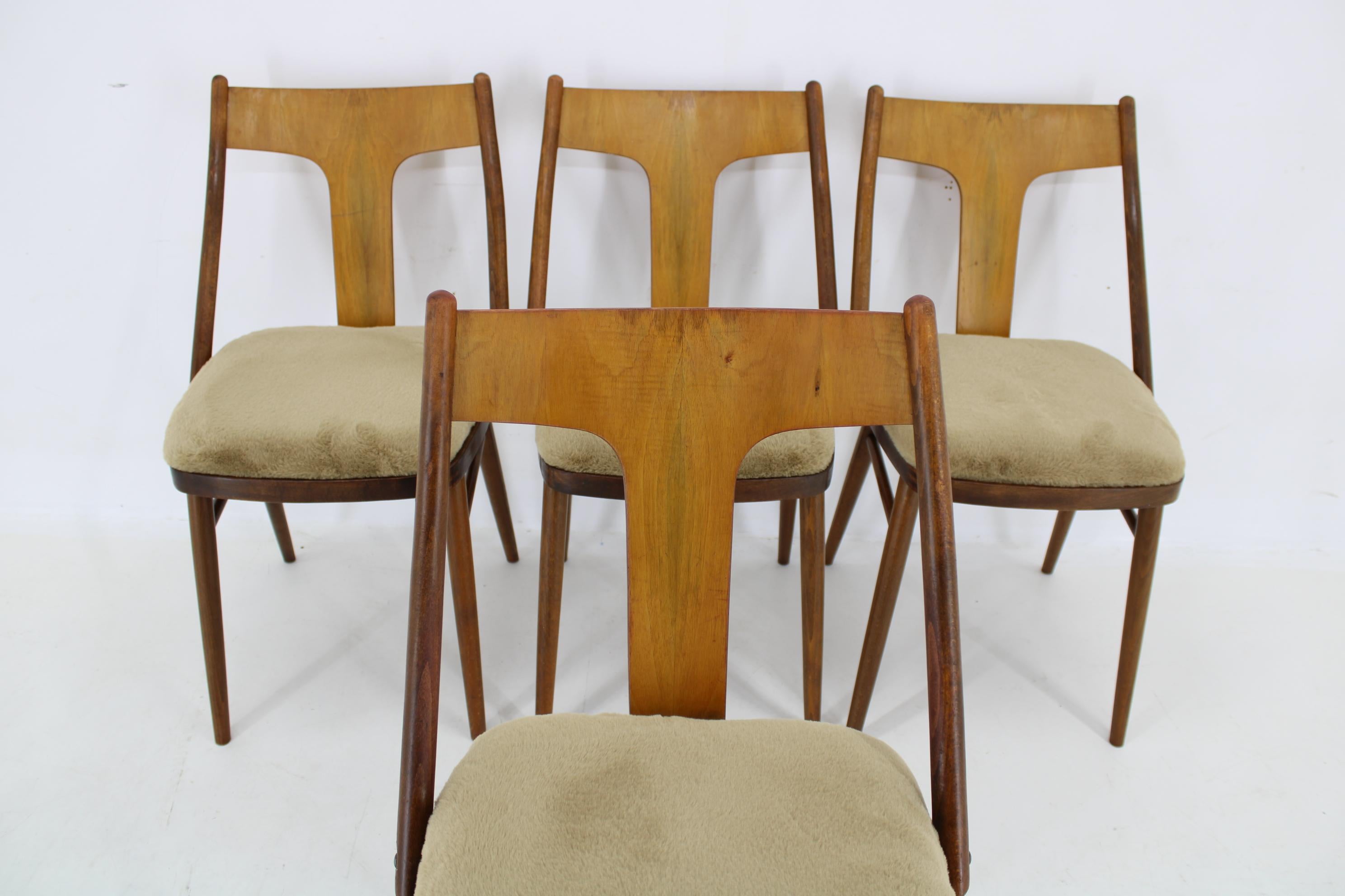 Satz von vier restaurierten Esszimmerstühlen aus Nussbaumholz, Tschechoslowakei, 1950er Jahre im Angebot 5