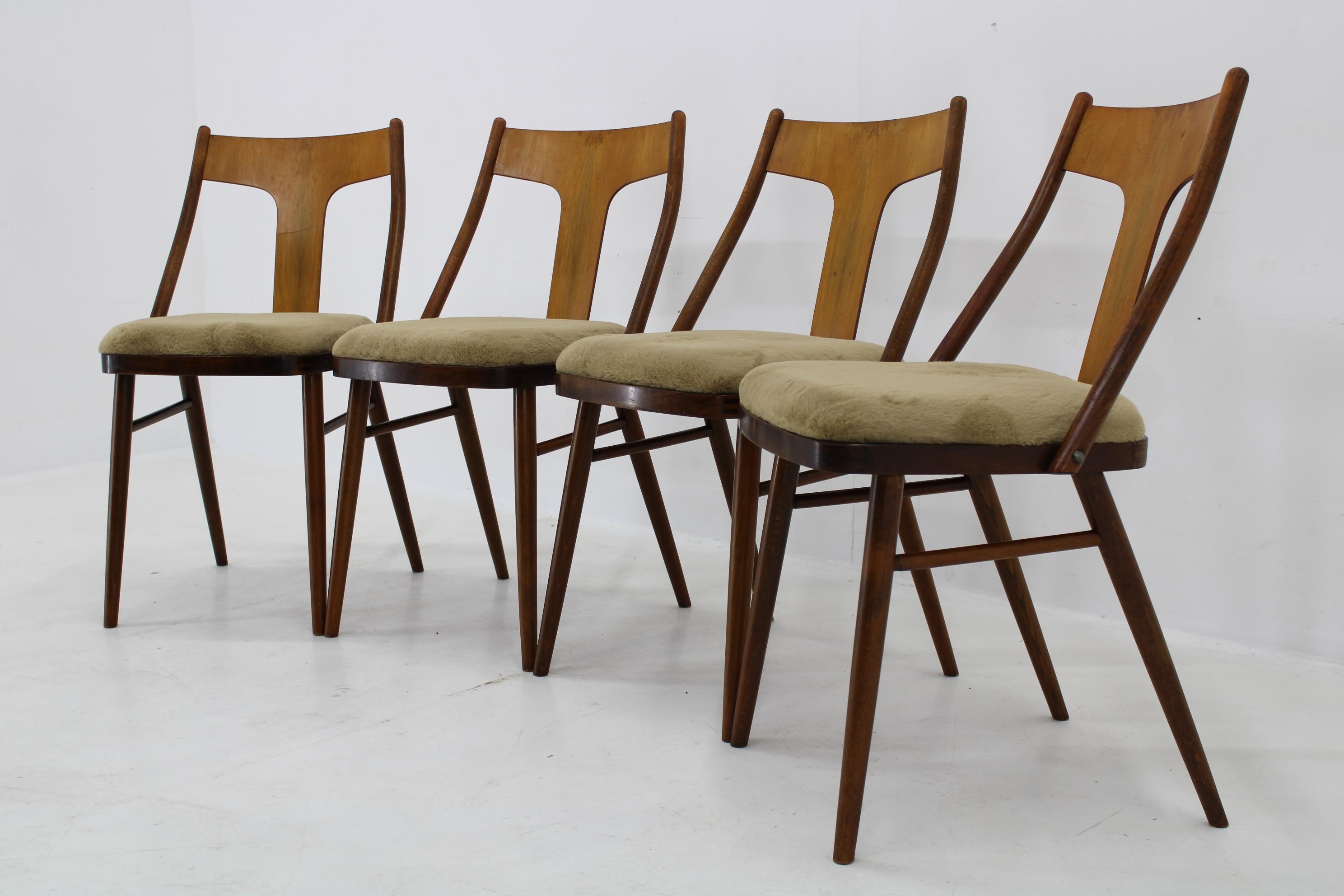 Mid-Century Modern 1950s Set of Four Restored Dining Chairs in Walnut, Czechoslovakia For Sale