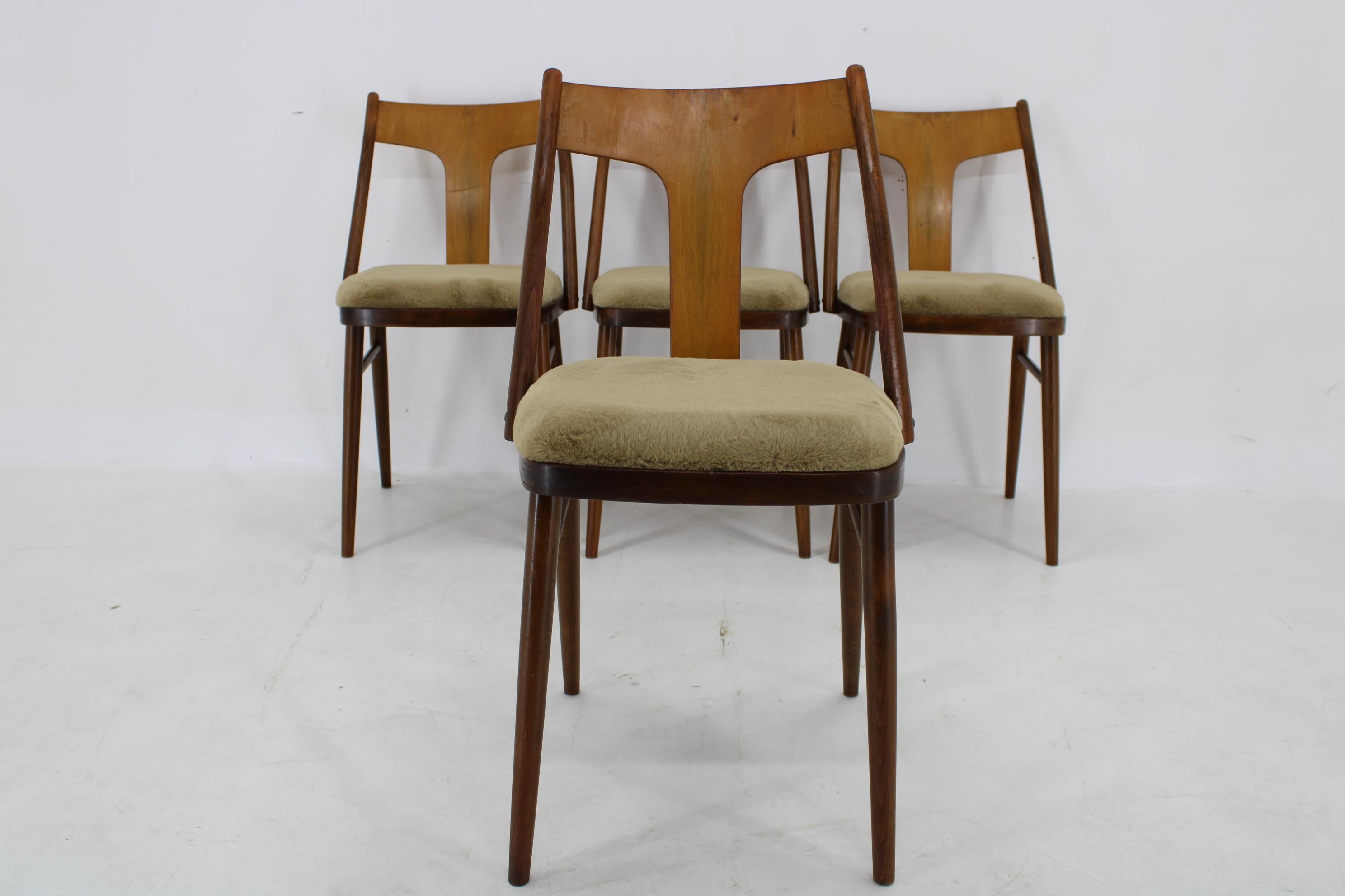 Veneer 1950s Set of Four Restored Dining Chairs in Walnut, Czechoslovakia For Sale