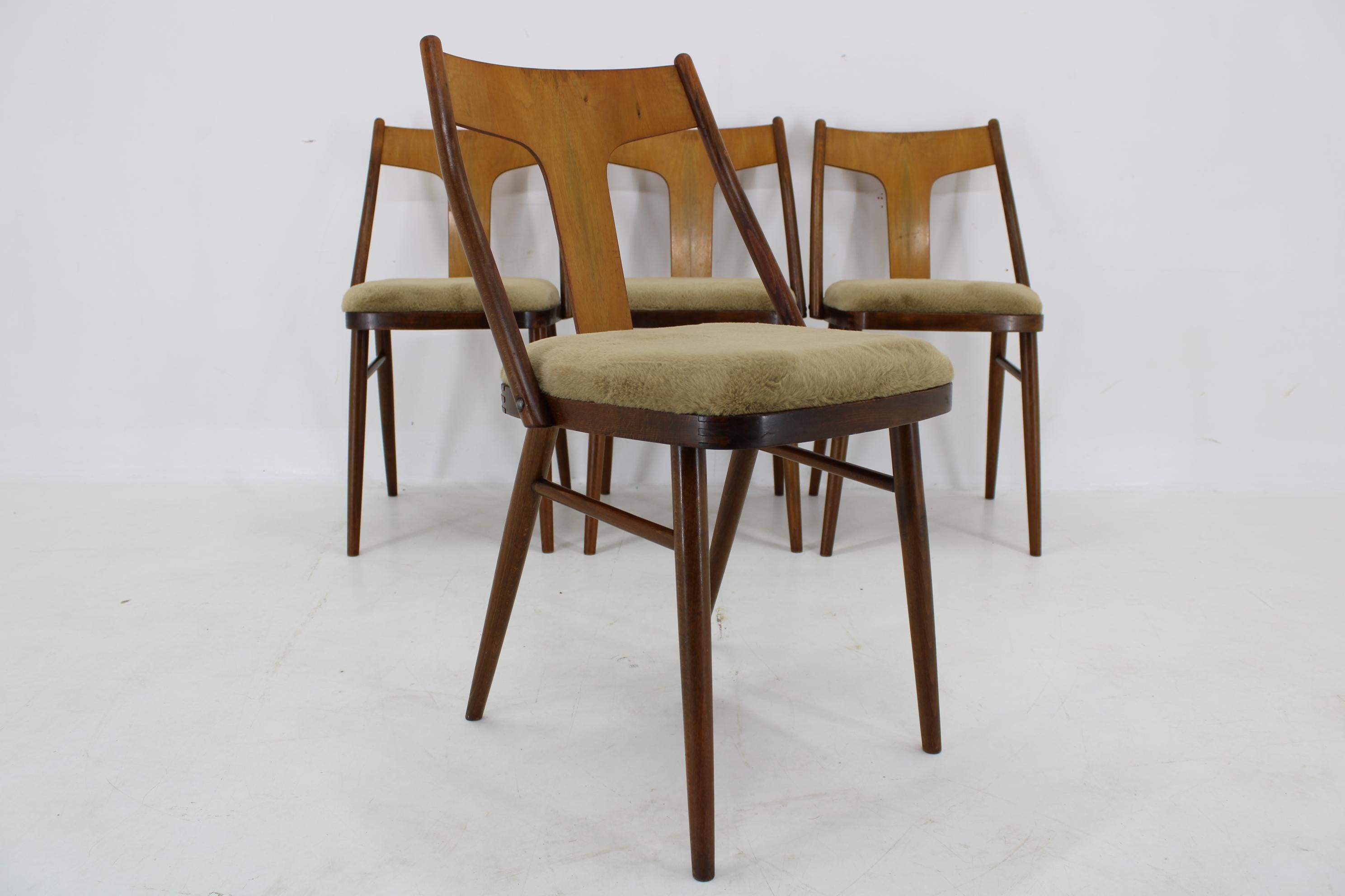 Satz von vier restaurierten Esszimmerstühlen aus Nussbaumholz, Tschechoslowakei, 1950er Jahre (Furnier) im Angebot