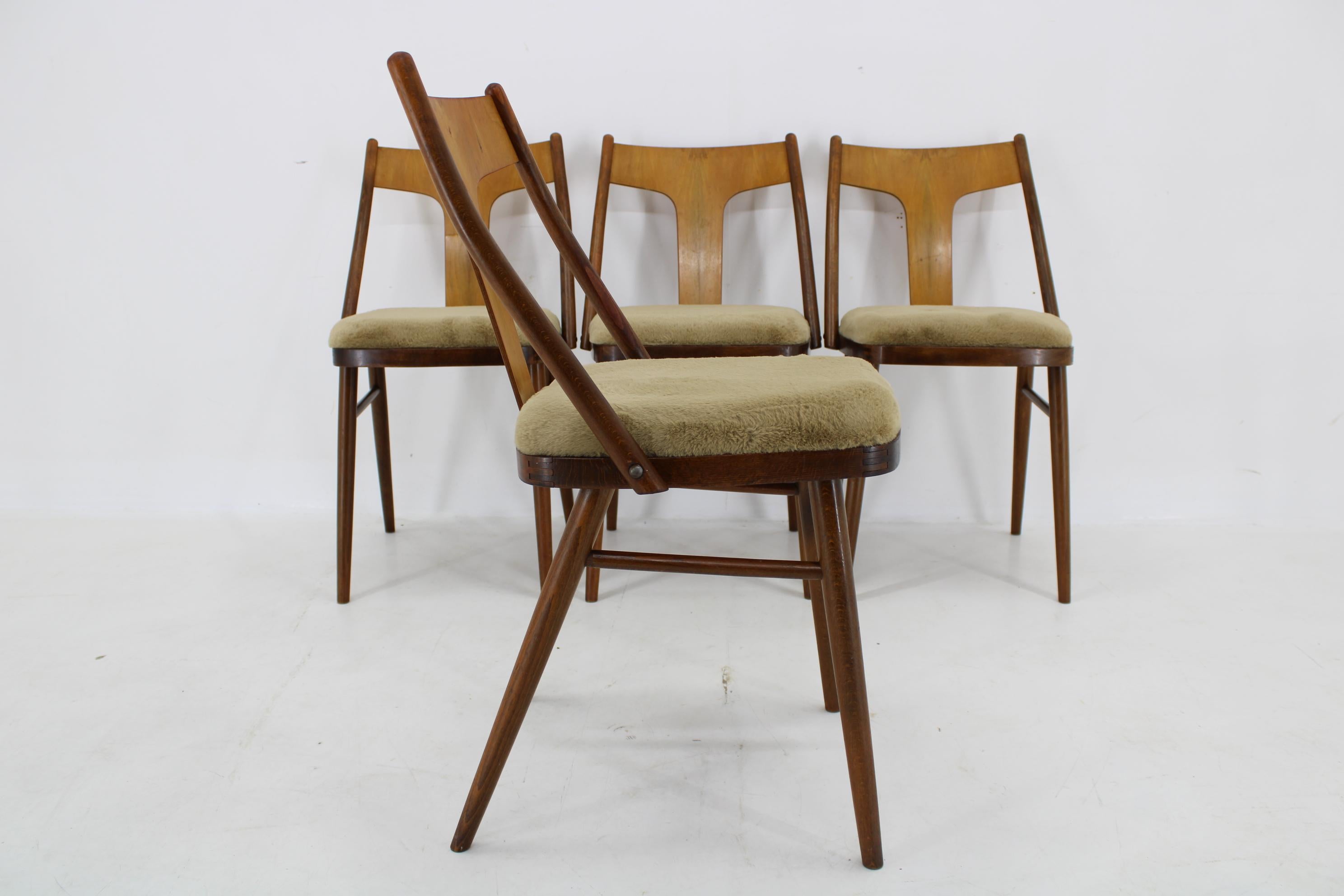 Satz von vier restaurierten Esszimmerstühlen aus Nussbaumholz, Tschechoslowakei, 1950er Jahre im Zustand „Gut“ im Angebot in Praha, CZ
