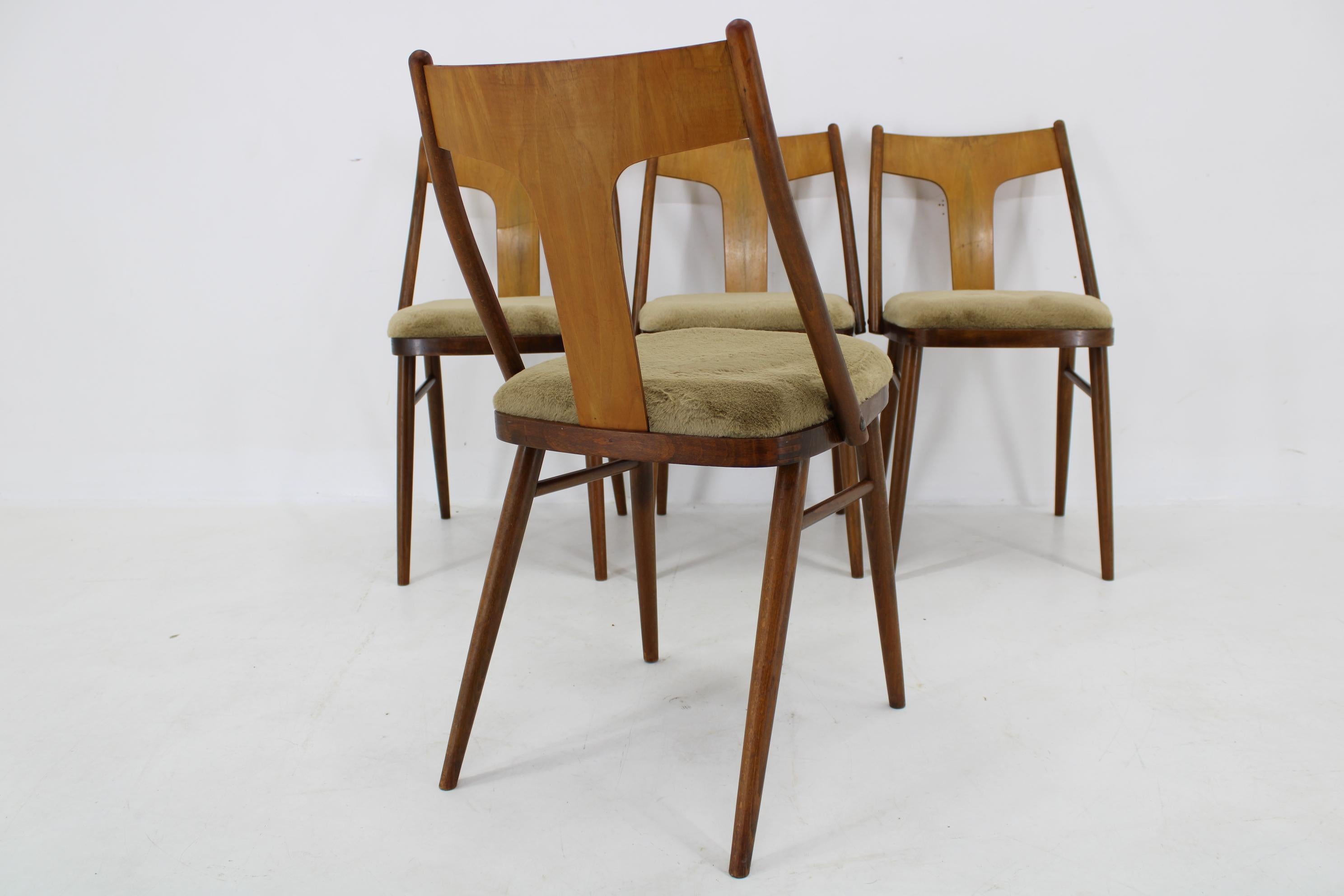 Satz von vier restaurierten Esszimmerstühlen aus Nussbaumholz, Tschechoslowakei, 1950er Jahre (Mitte des 20. Jahrhunderts) im Angebot