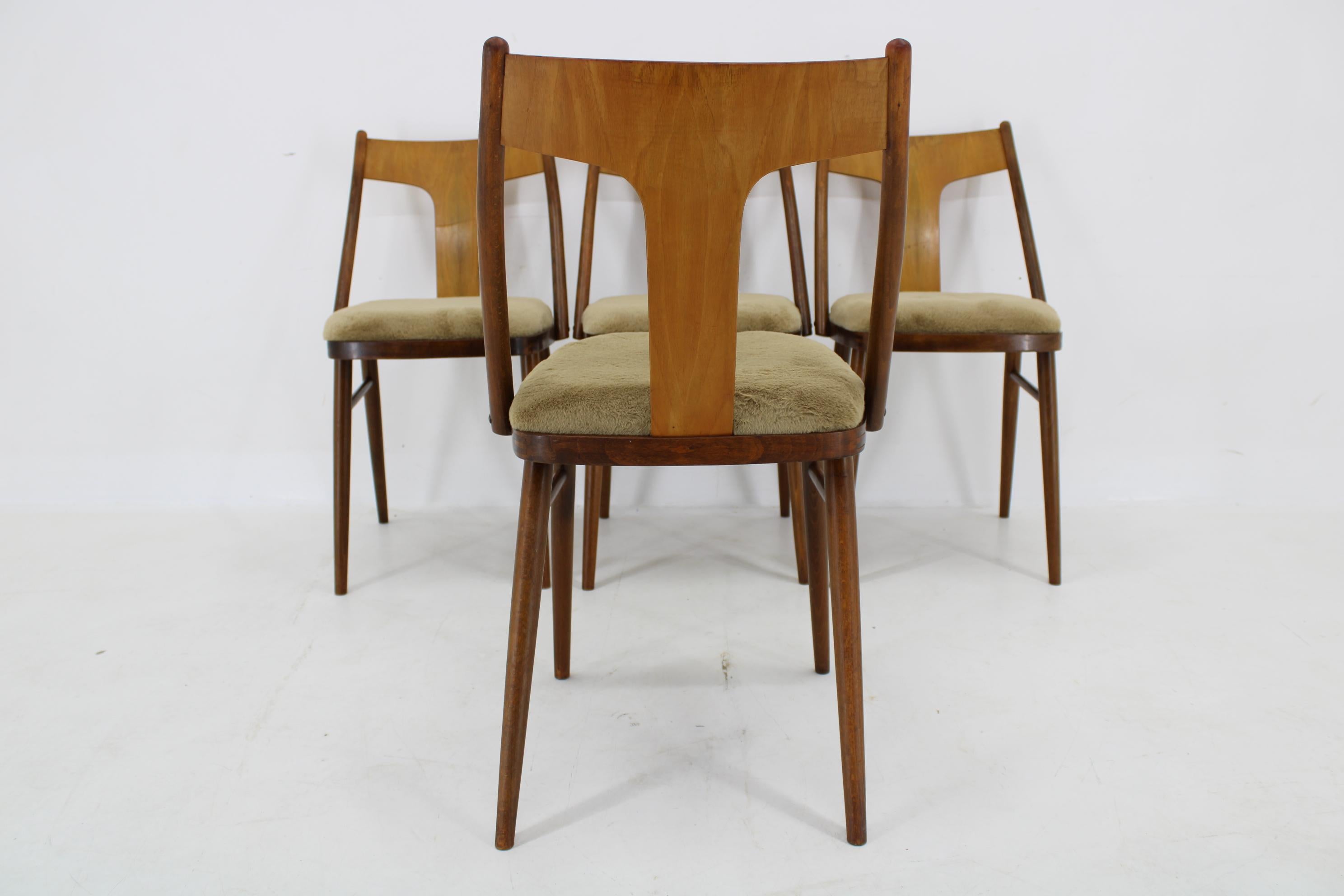 Satz von vier restaurierten Esszimmerstühlen aus Nussbaumholz, Tschechoslowakei, 1950er Jahre (Stoff) im Angebot