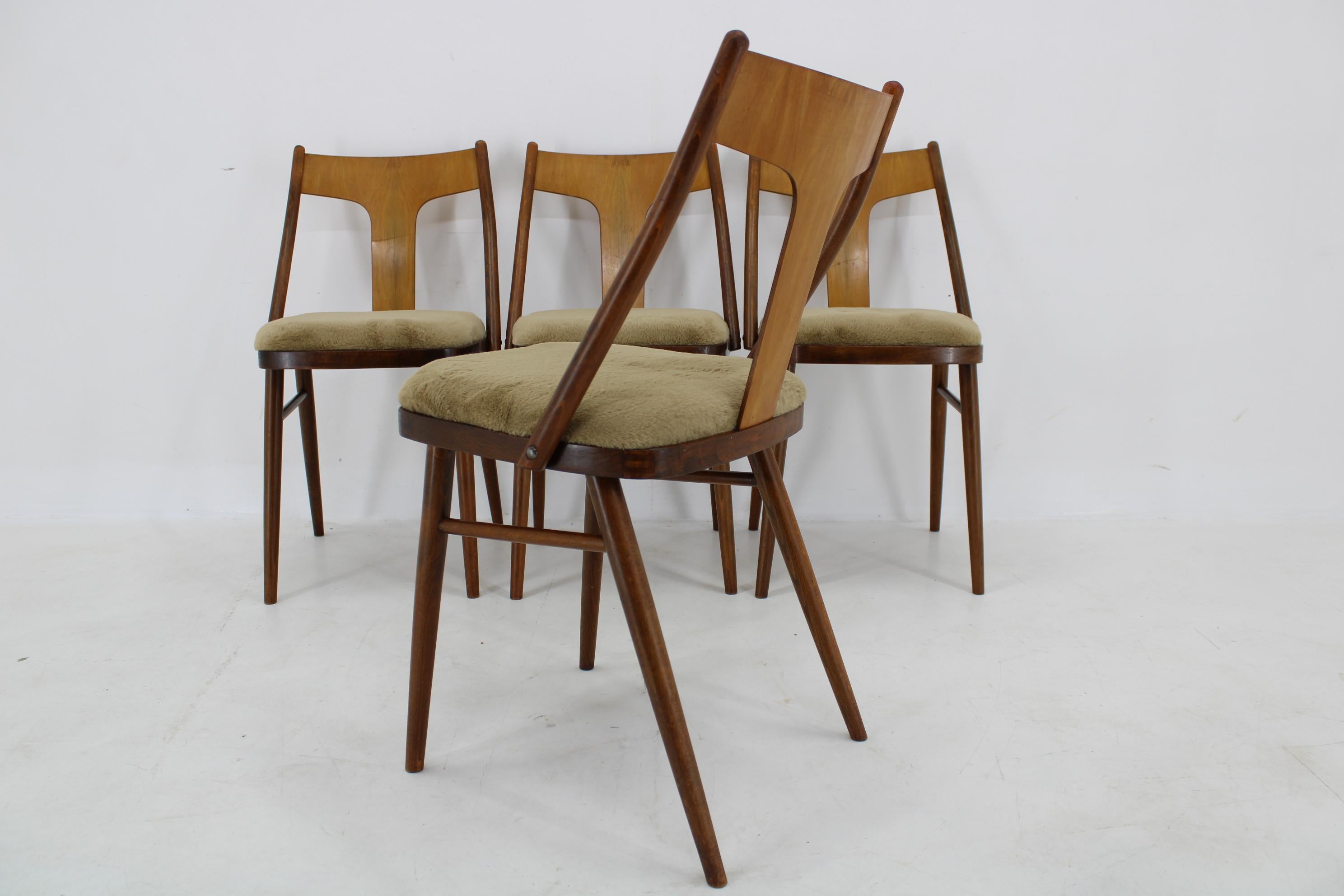 1950s Set of Four Restored Dining Chairs in Walnut, Czechoslovakia For Sale 2
