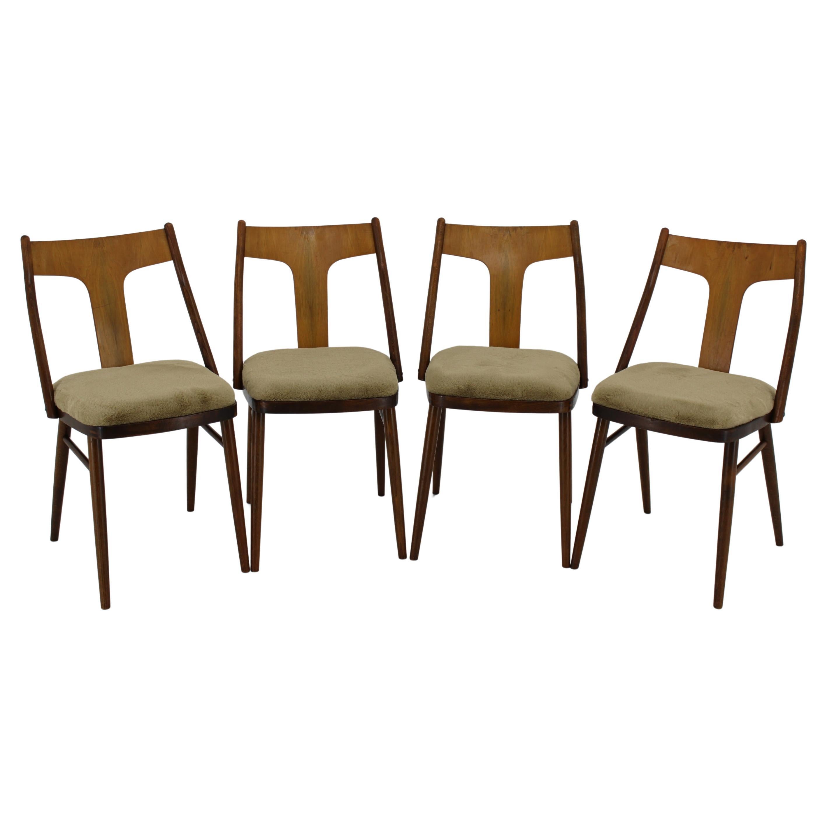 1950 - Ensemble de quatre chaises de salle à manger restaurées en noyer, Tchécoslovaquie