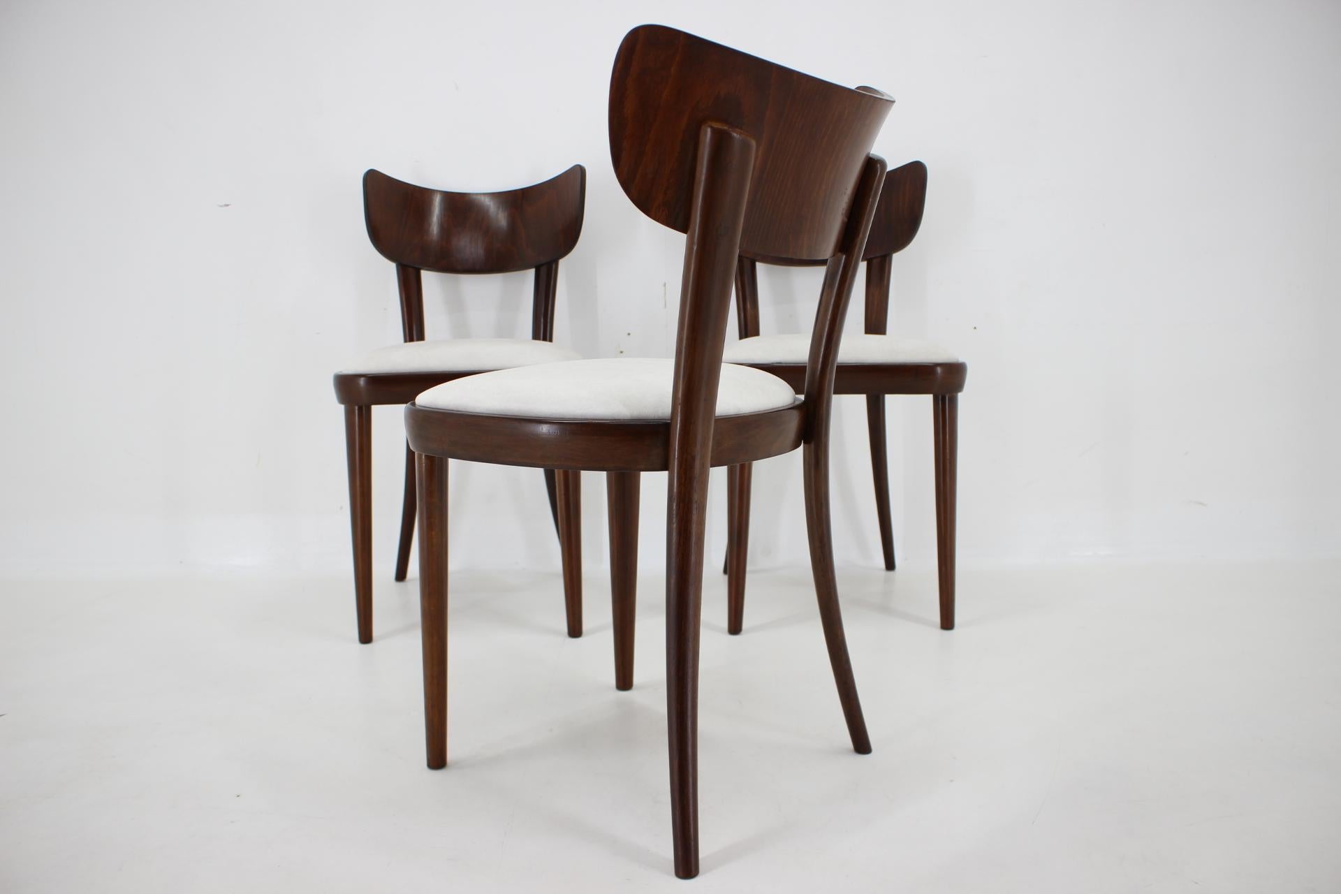 1950s Set of Three Restored Beech Dining Chairs, Czechoslovakia For Sale 5