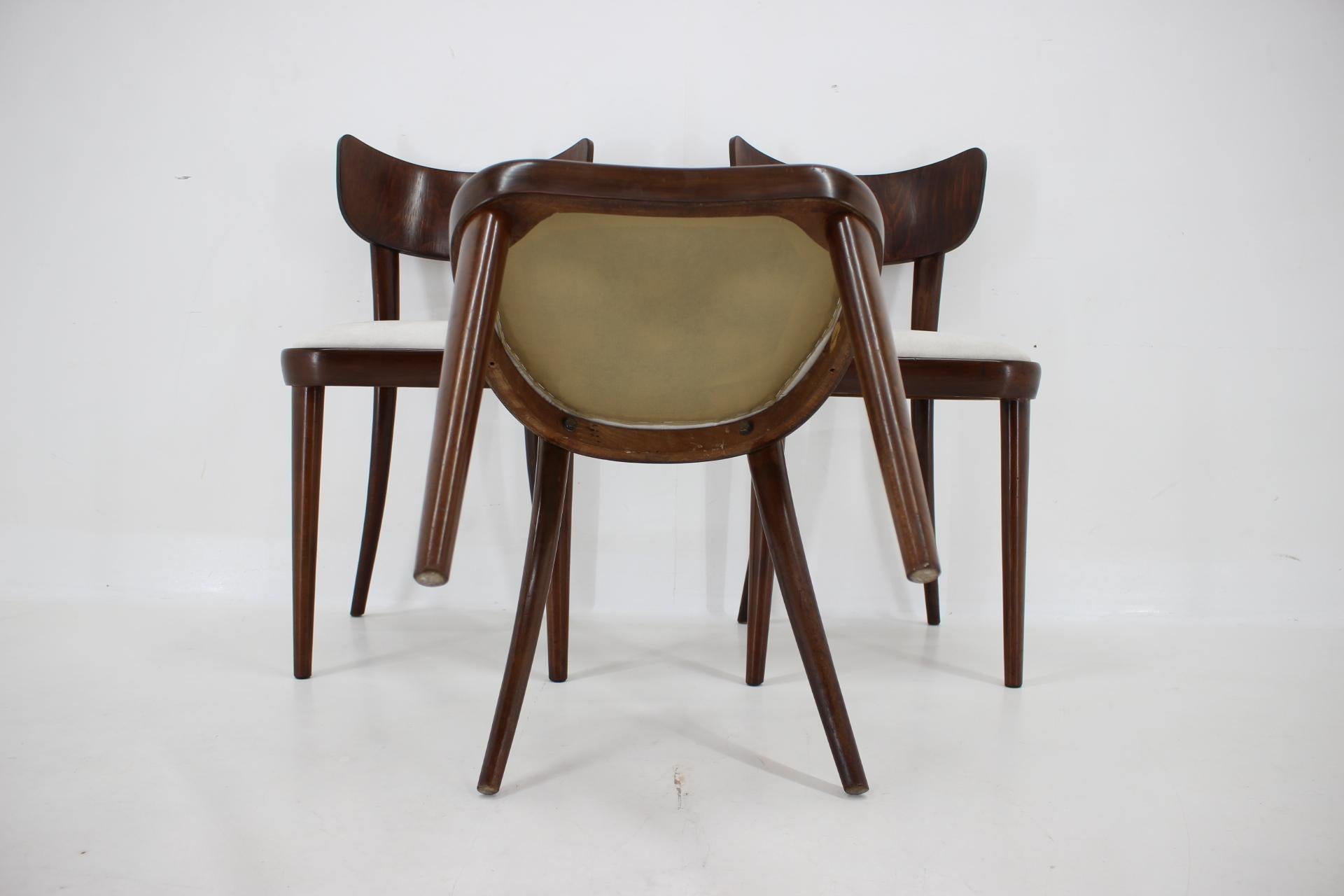 1950s Set of Three Restored Beech Dining Chairs, Czechoslovakia For Sale 7