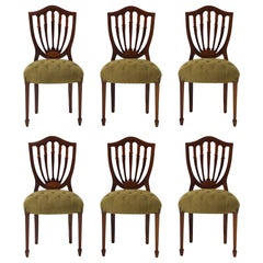 Dining Room Chairs