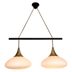 Mid-Century Modern Chandeliers and Pendants