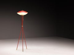 1950s Stilnovo Floor Lamp in Brass Glass and Red Lacquered Steel
