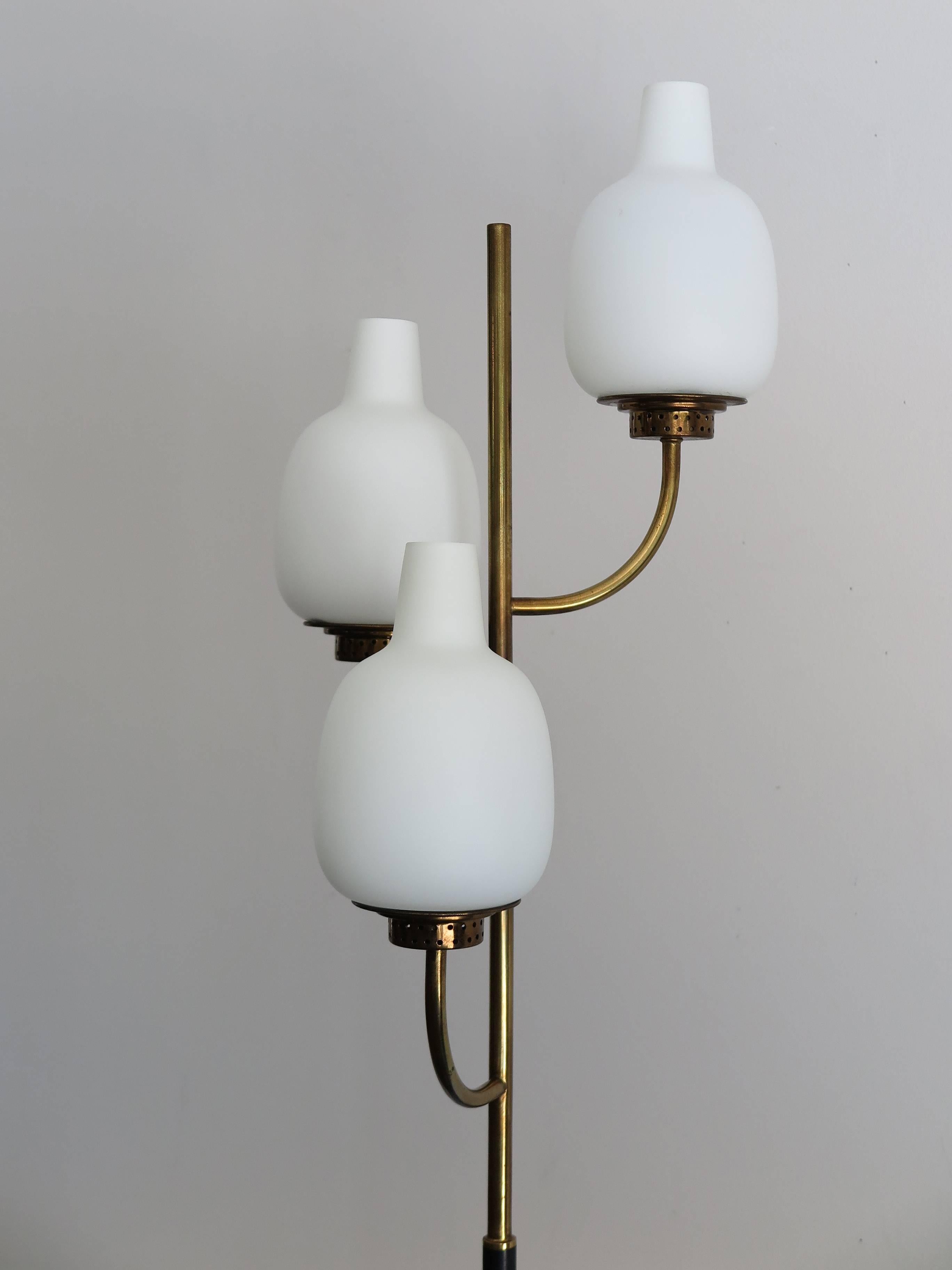 Mid-20th Century 1950s Stilnovo Italian Mid-Century Modern Glass Floor Lamp