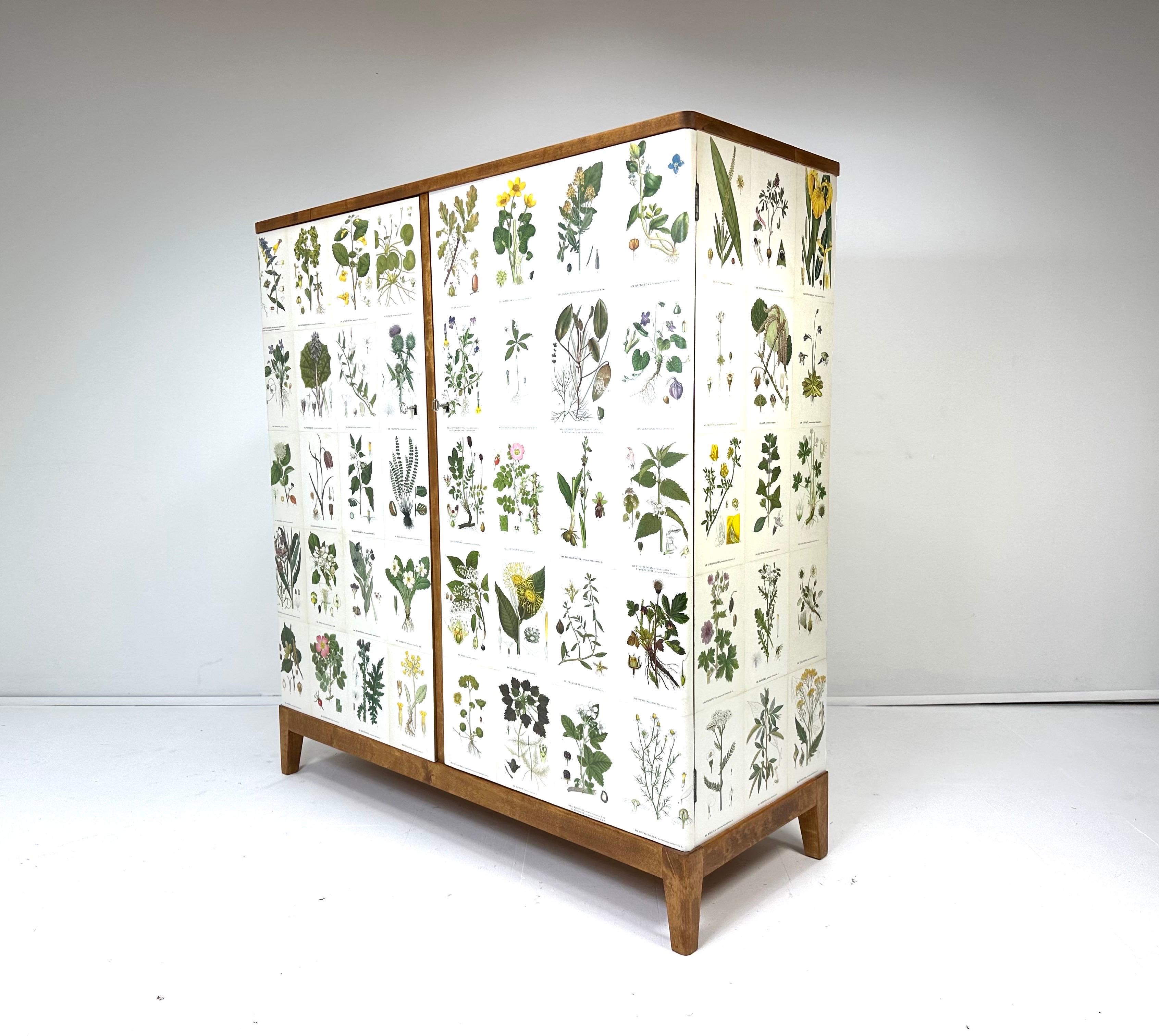 1950’s Swedish Cabinet With Nordens Flora Illistrations 4