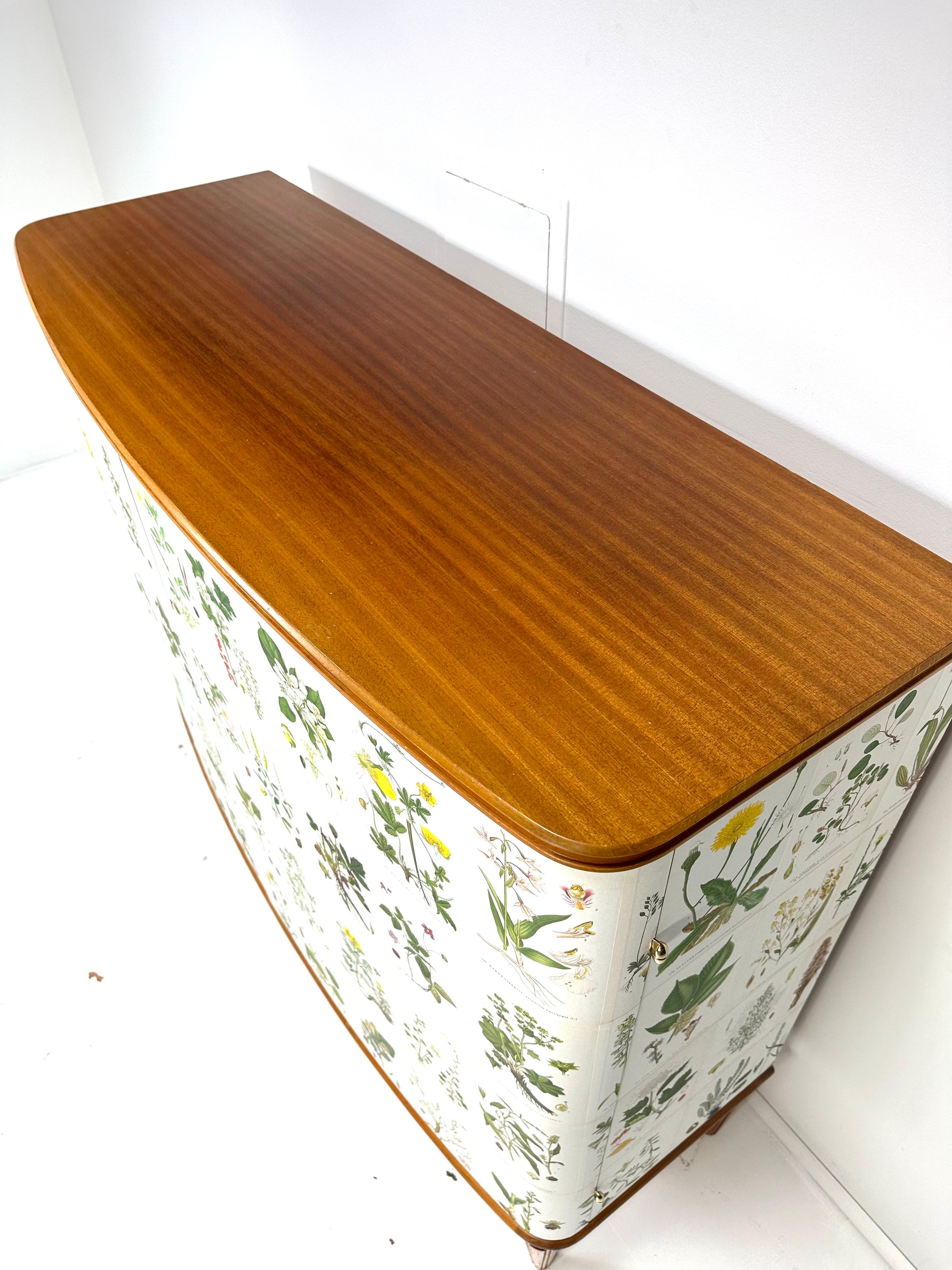 1950’s Swedish Cabinet With Nordens Flora Illustrations 3