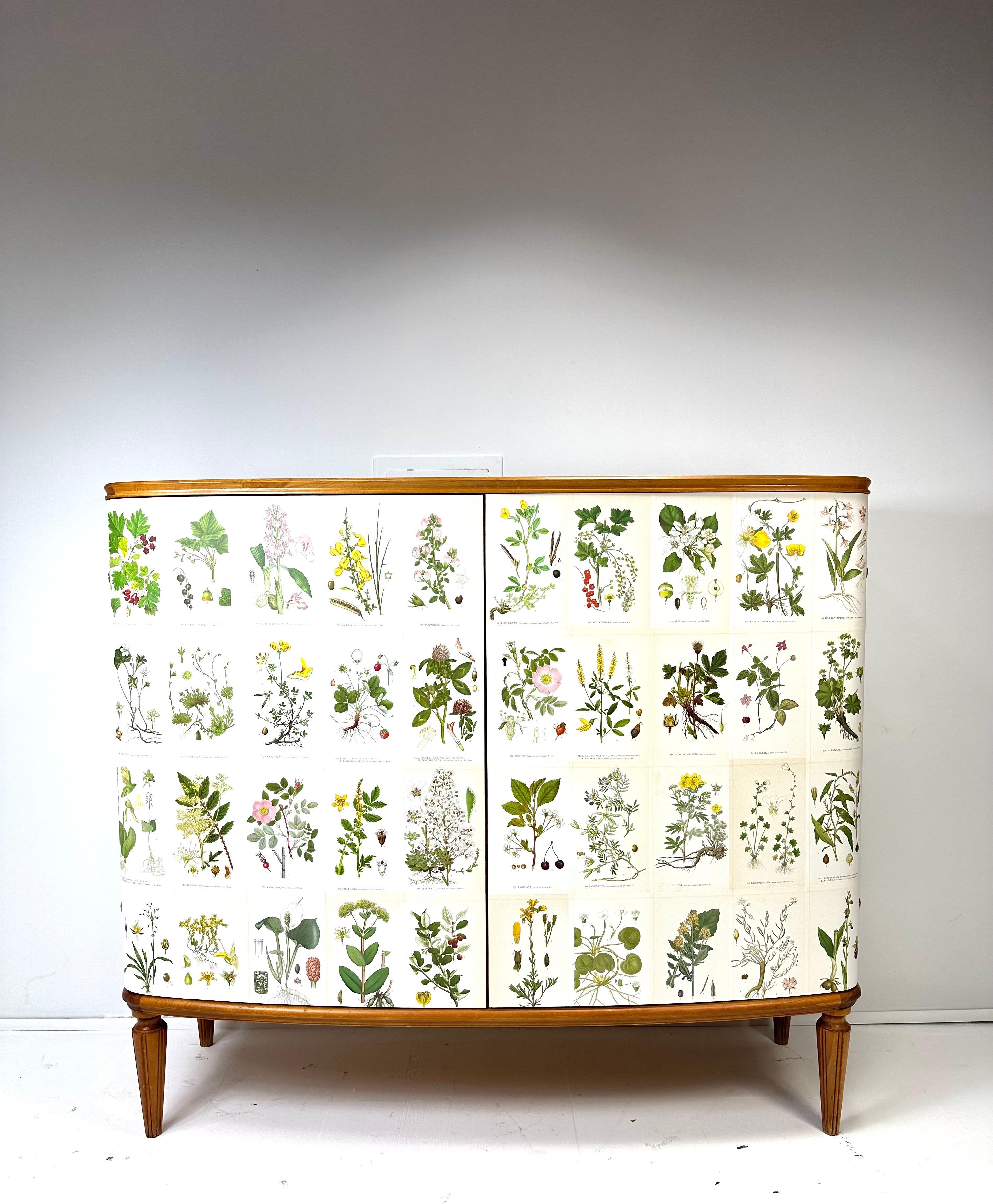1950’s Swedish Cabinet With Nordens Flora Illustrations 6