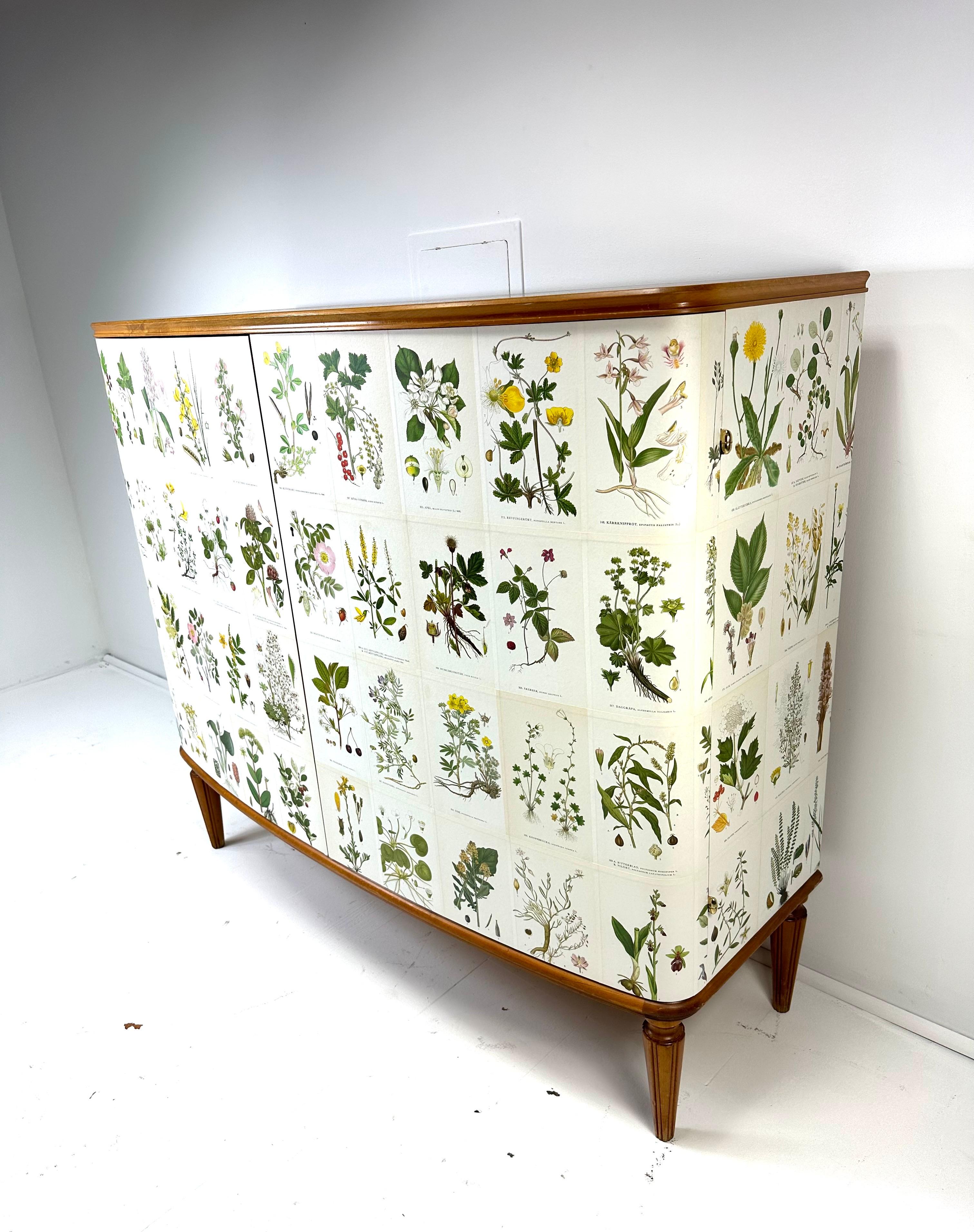 Scandinavian Modern 1950’s Swedish Cabinet With Nordens Flora Illustrations
