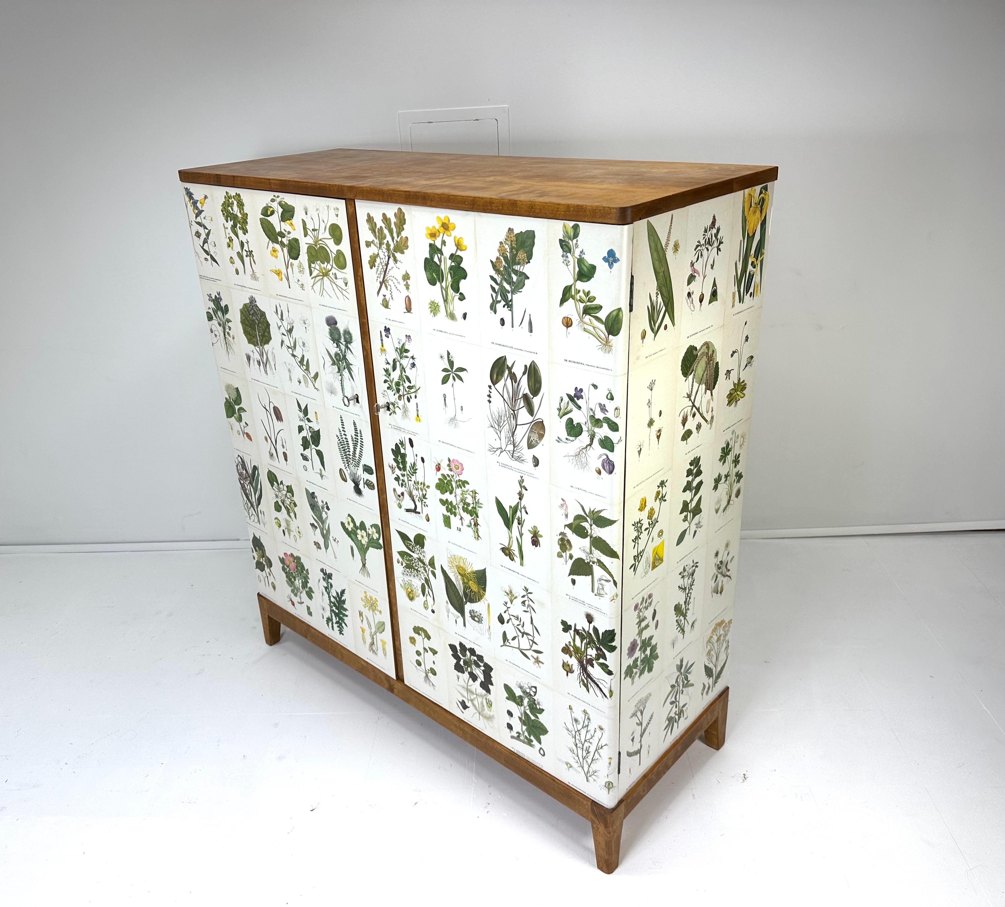 1950’s Swedish Cabinet With Nordens Flora Illistrations In Good Condition In Turners Falls, MA