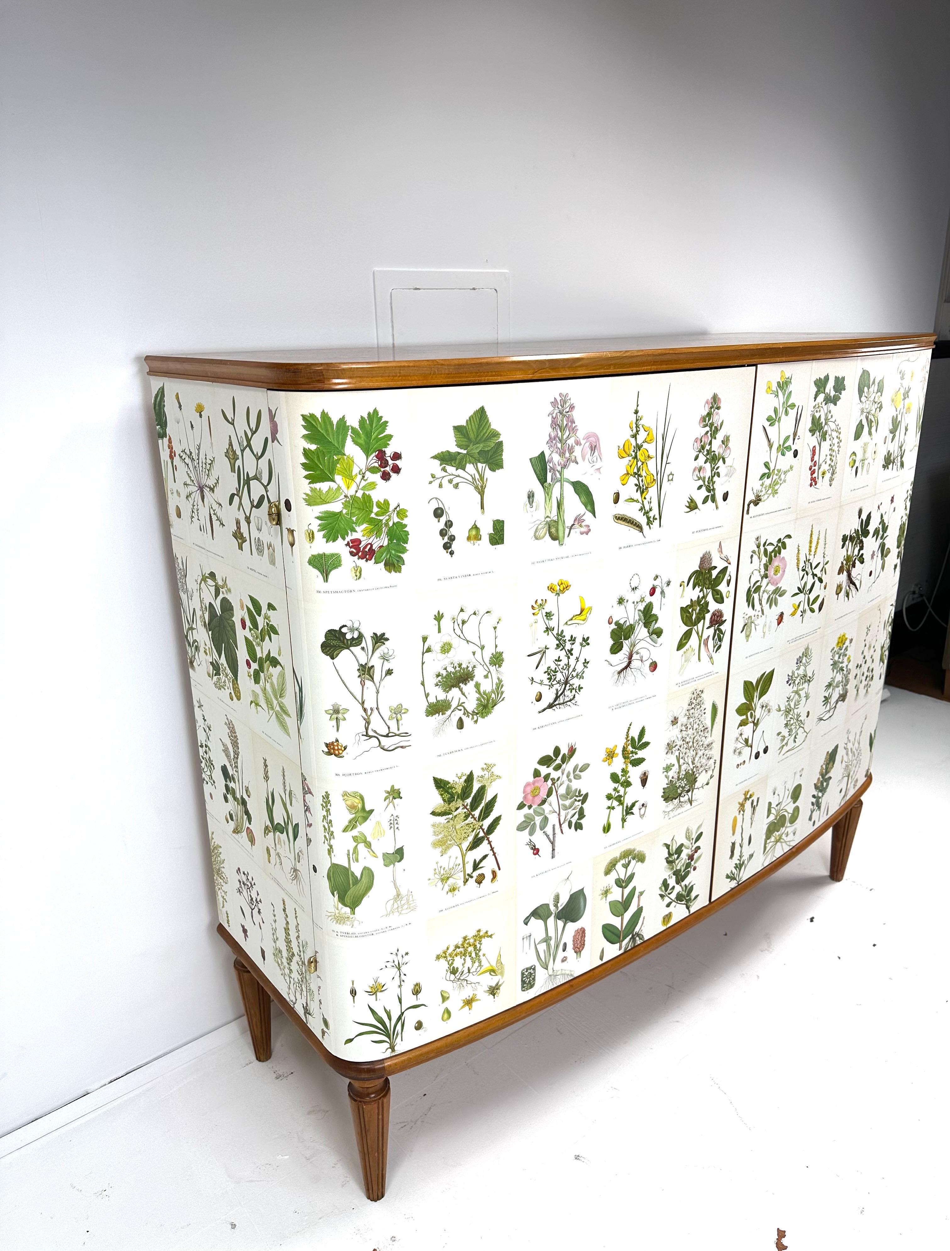 Appliqué 1950’s Swedish Cabinet With Nordens Flora Illustrations