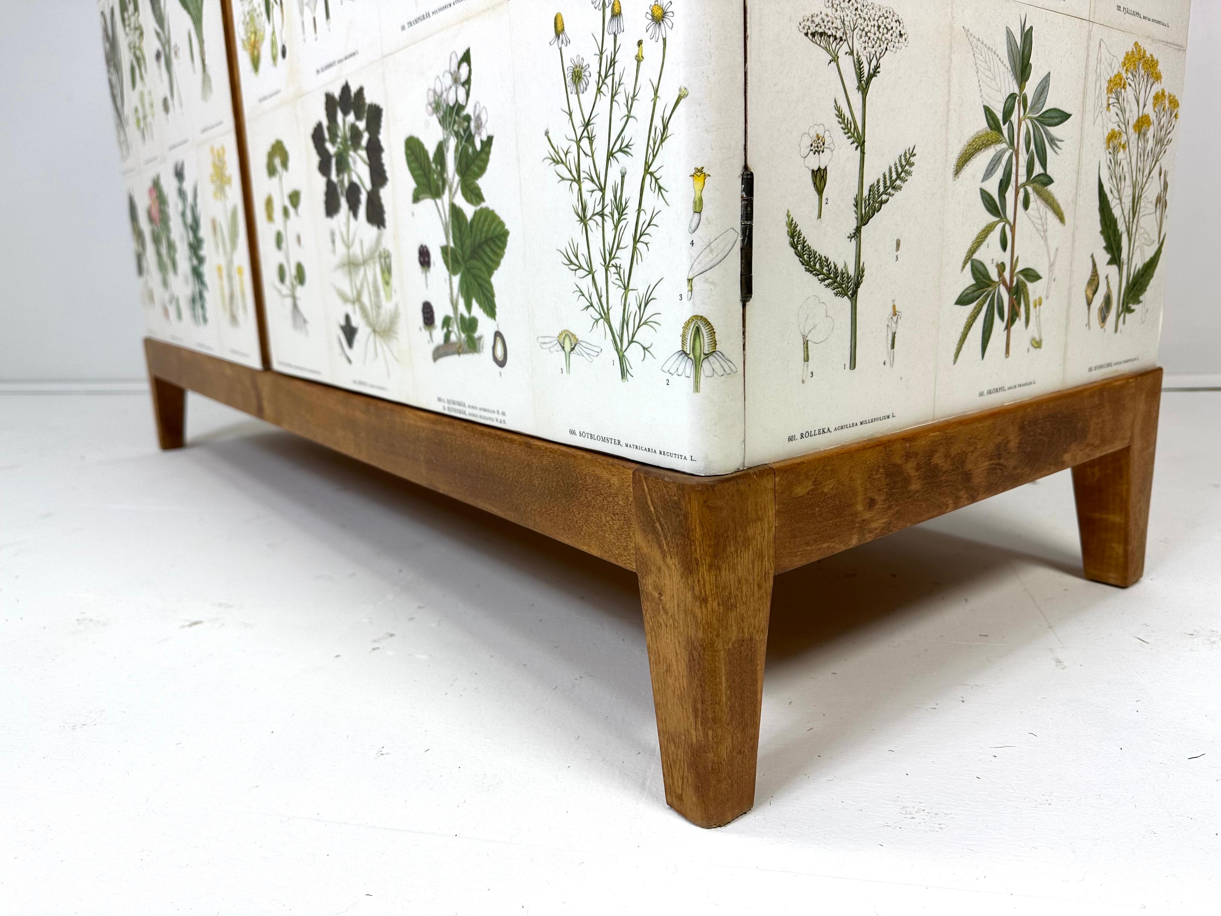20th Century 1950’s Swedish Cabinet With Nordens Flora Illistrations