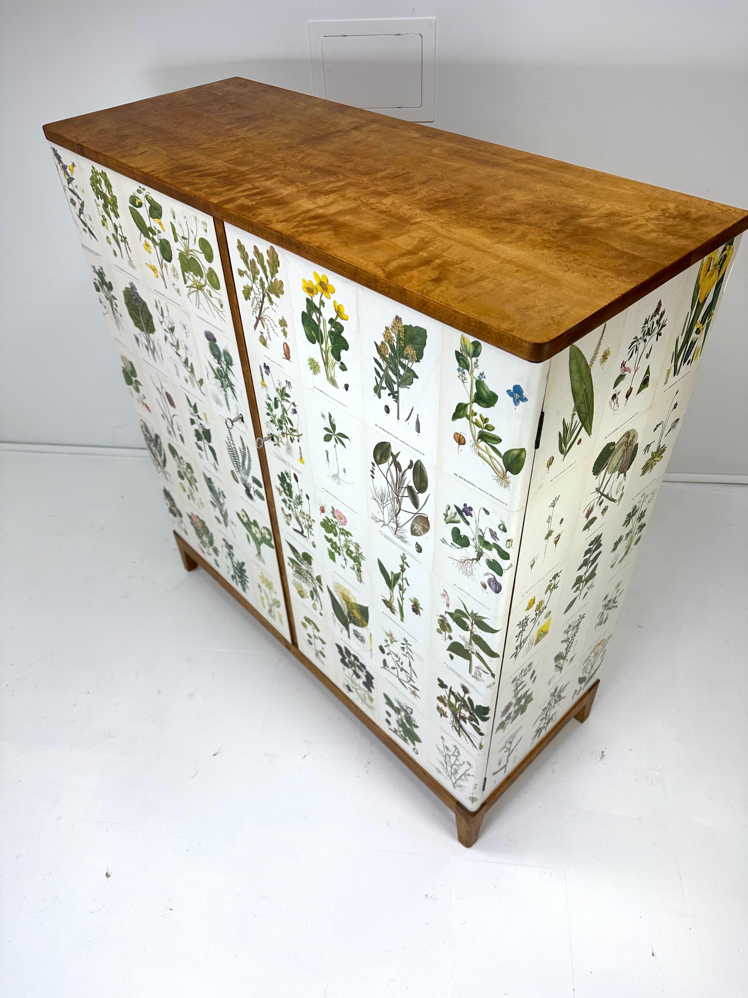 1950’s Swedish Cabinet With Nordens Flora Illistrations 1