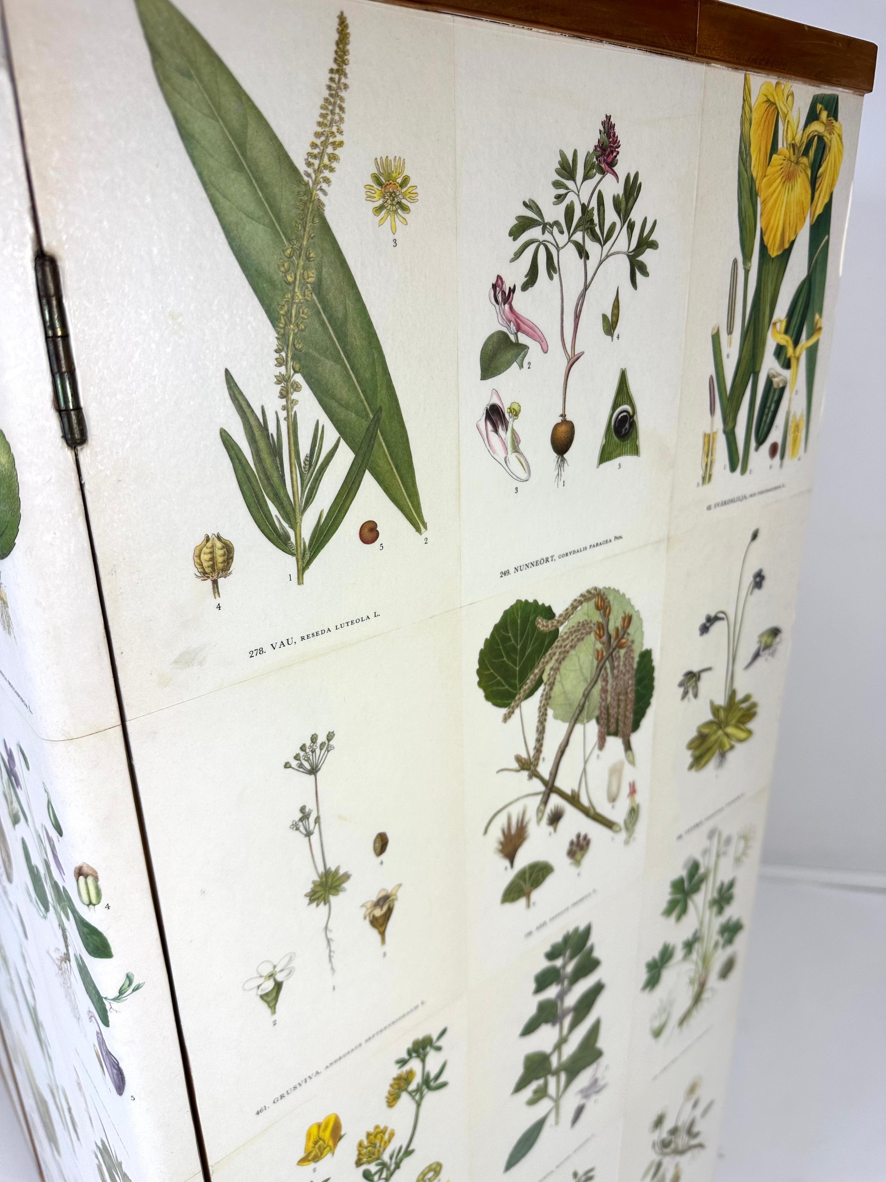 1950’s Swedish Cabinet With Nordens Flora Illistrations 2