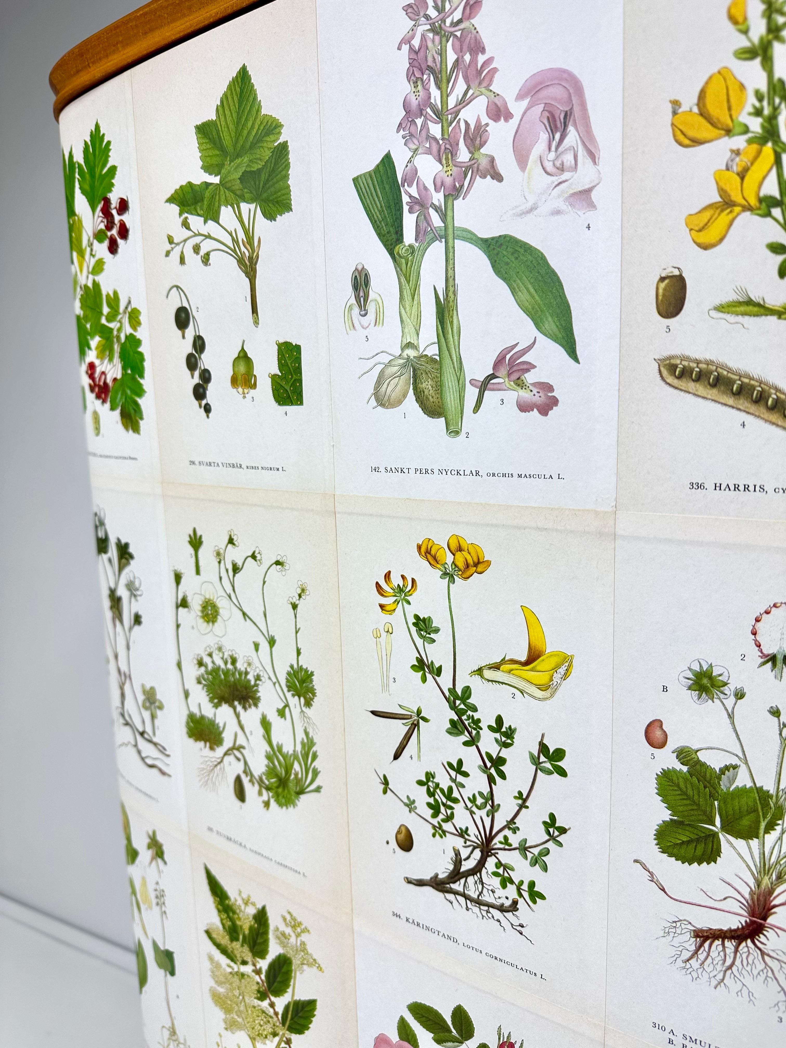1950’s Swedish Cabinet With Nordens Flora Illustrations 1