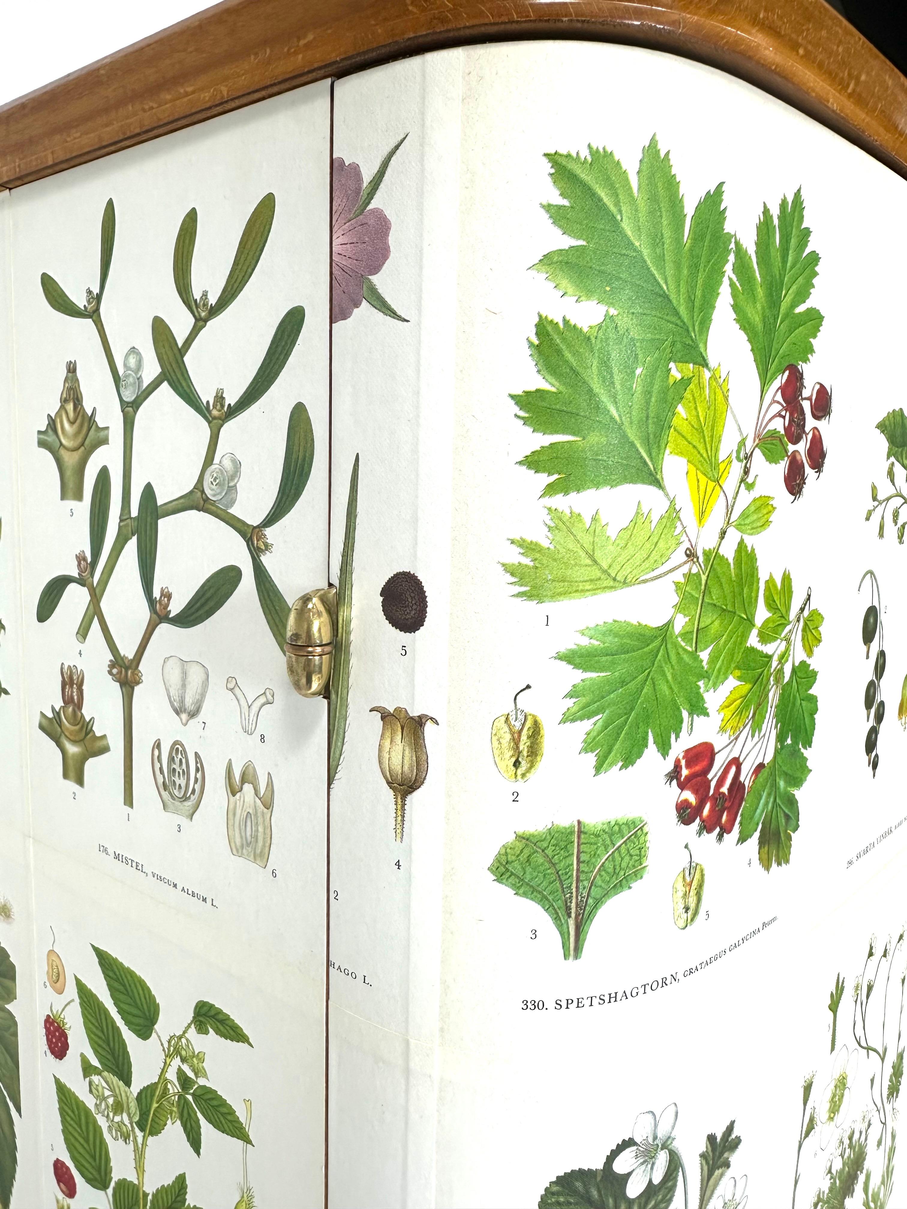 1950’s Swedish Cabinet With Nordens Flora Illustrations 2