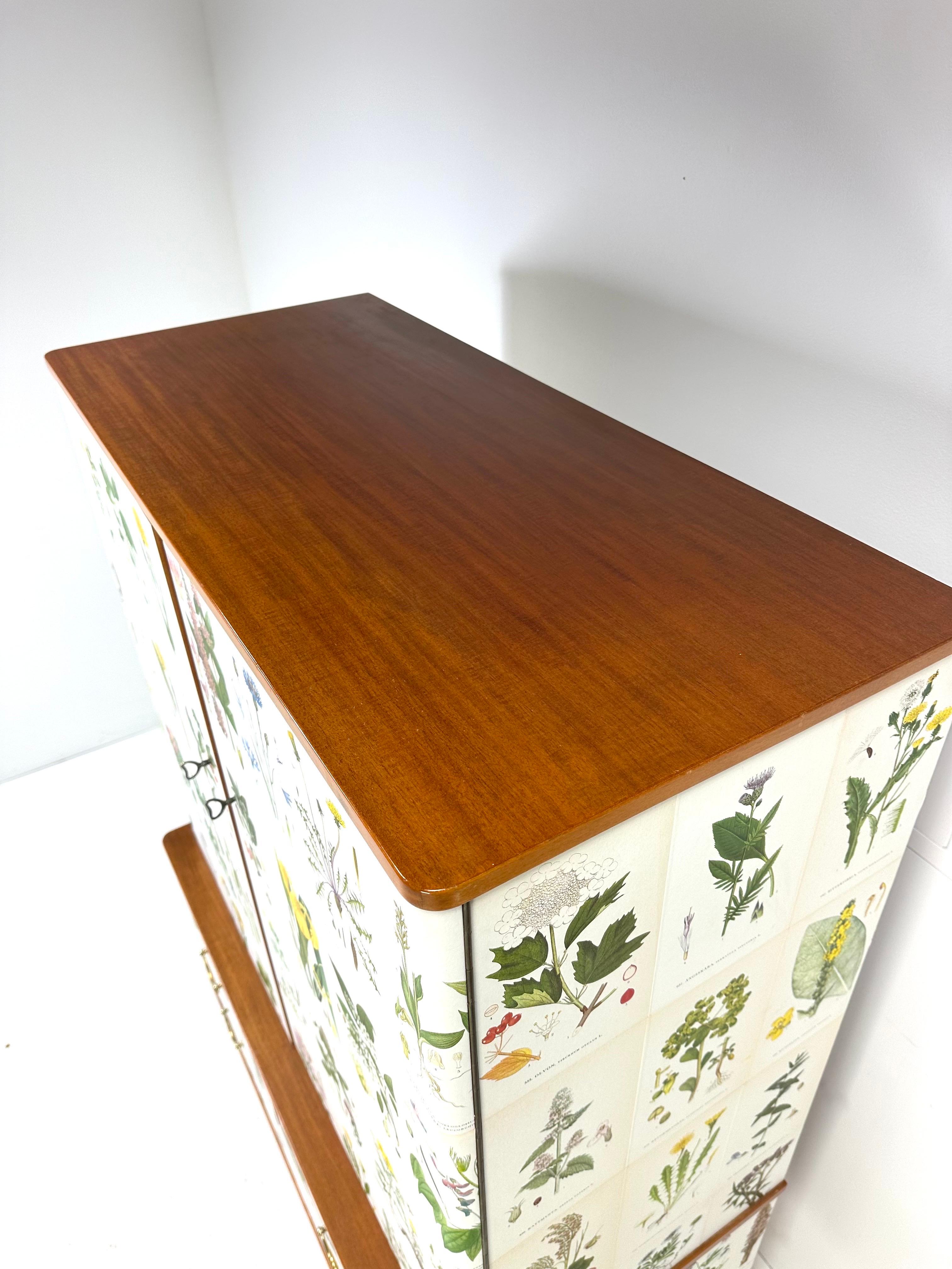 1950’s Swedish Cabinet With Nordens Flora Illustrations 3