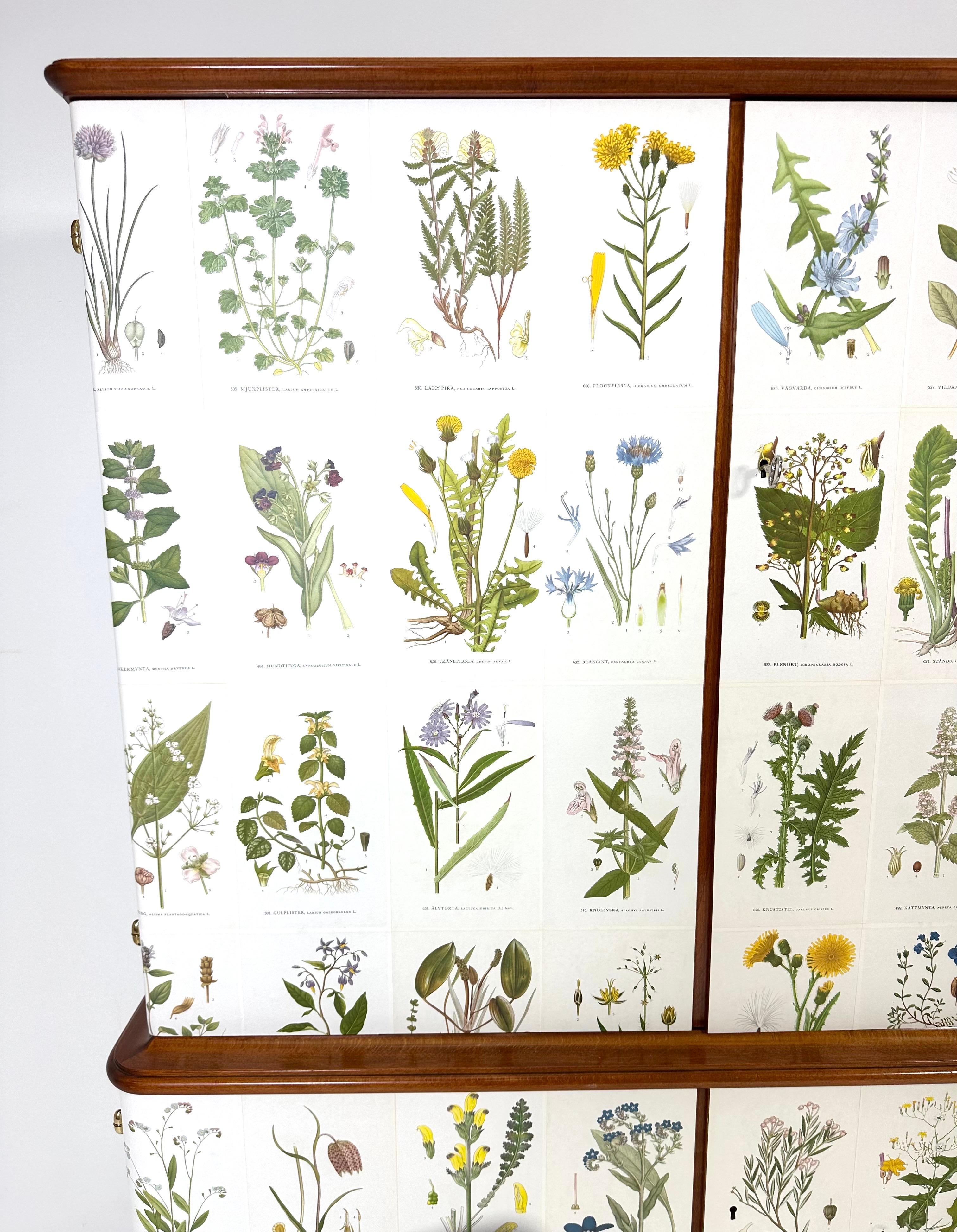 Mobile svedese degli anni '50 con illustrazioni di Nordens Flora in vendita 3