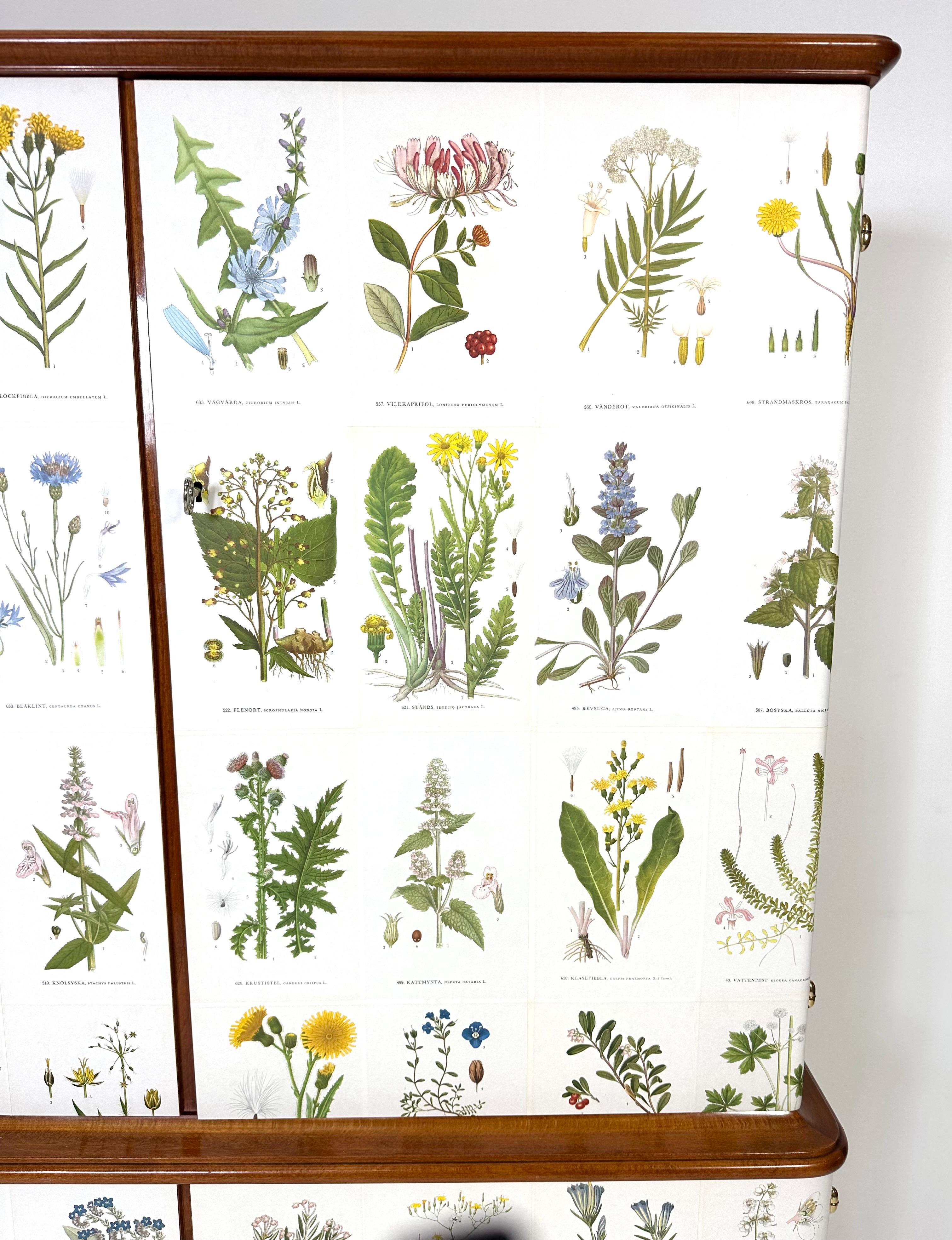 Mobile svedese degli anni '50 con illustrazioni di Nordens Flora in vendita 4