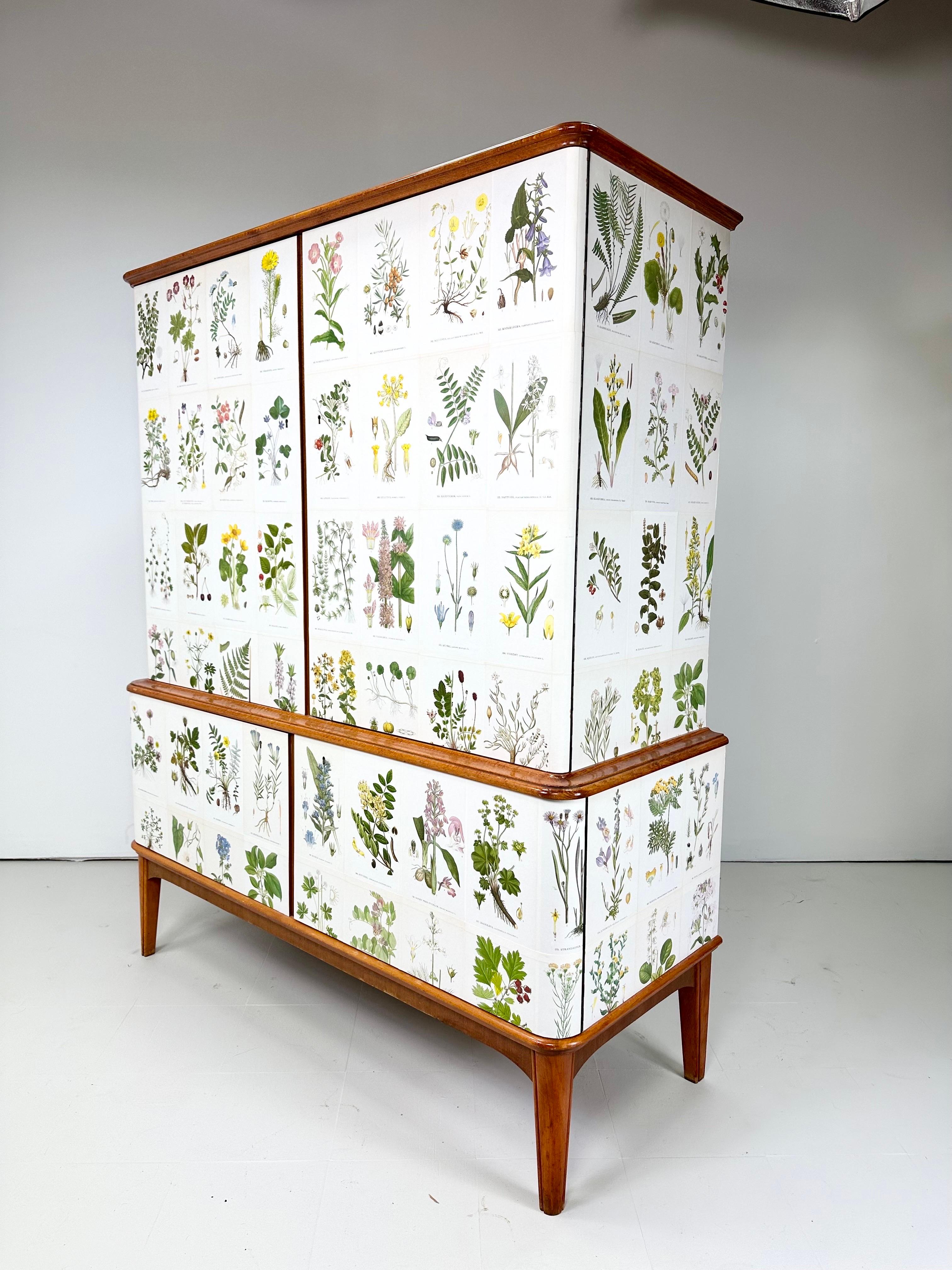 1950’s Swedish Cabinet With Nordens Flora Illustrations 5