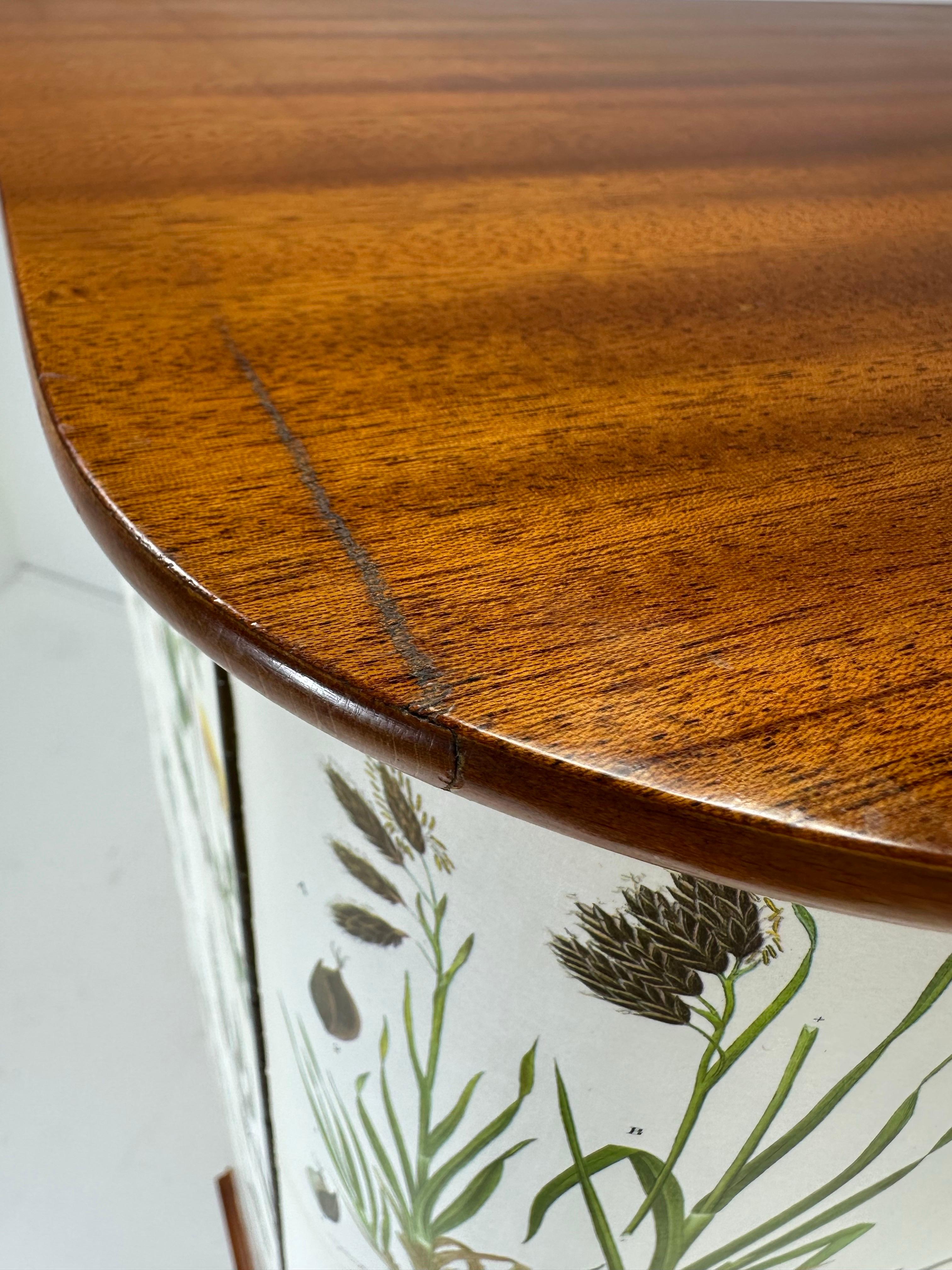 1950’s Swedish Cabinet With Nordens Flora Illustrations For Sale 6