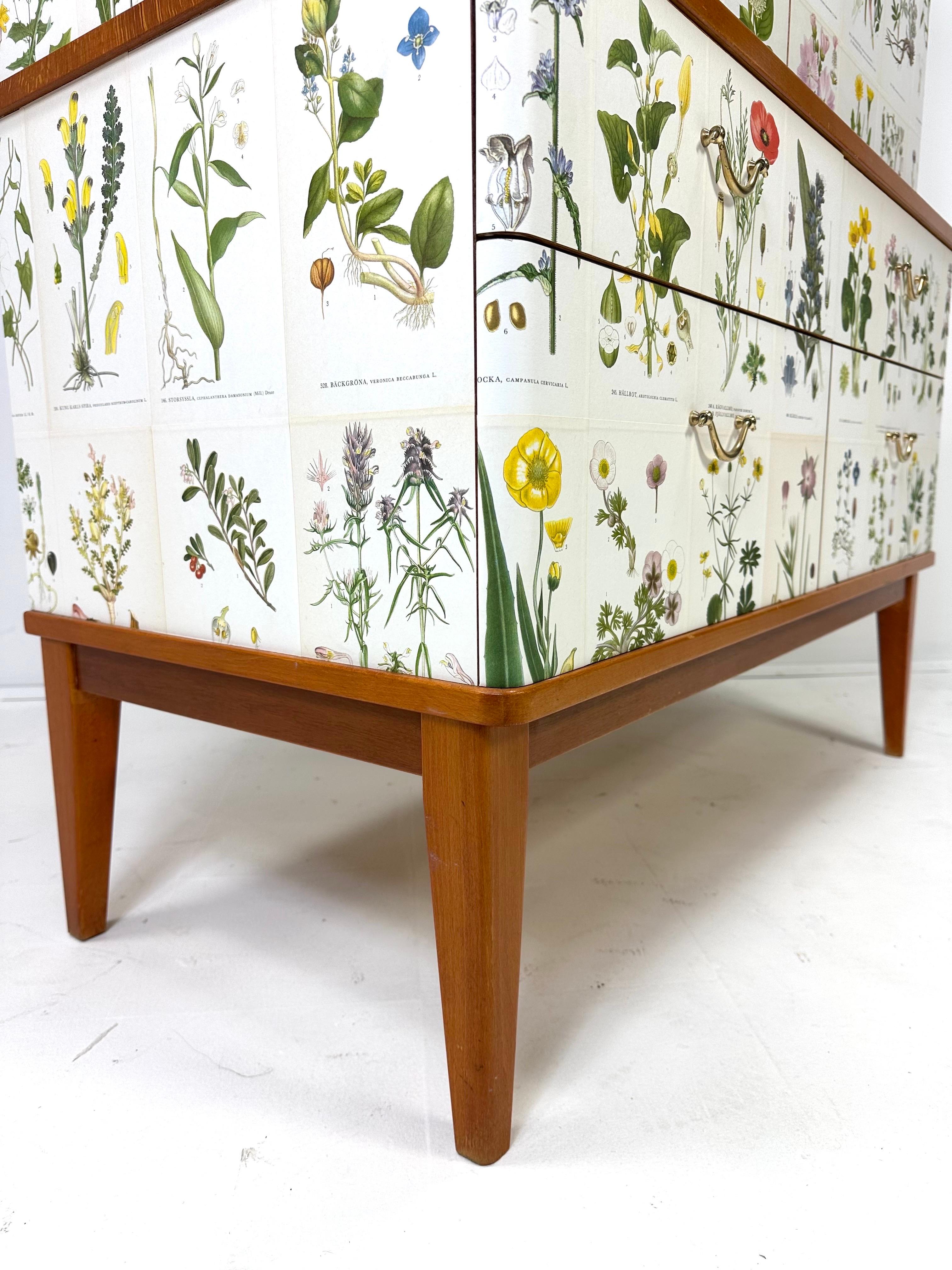 1950’s Swedish Cabinet With Nordens Flora Illustrations 7