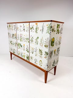 1950’s Swedish Cabinet With Nordens Flora Illustrations